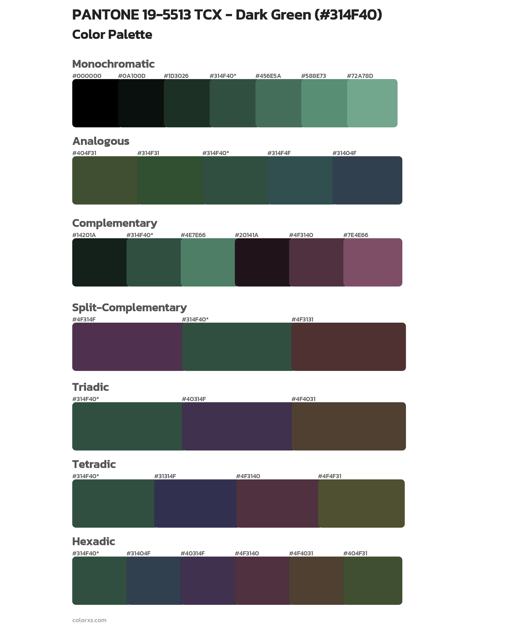 PANTONE 19-5513 TCX - Dark Green Color Scheme Palettes