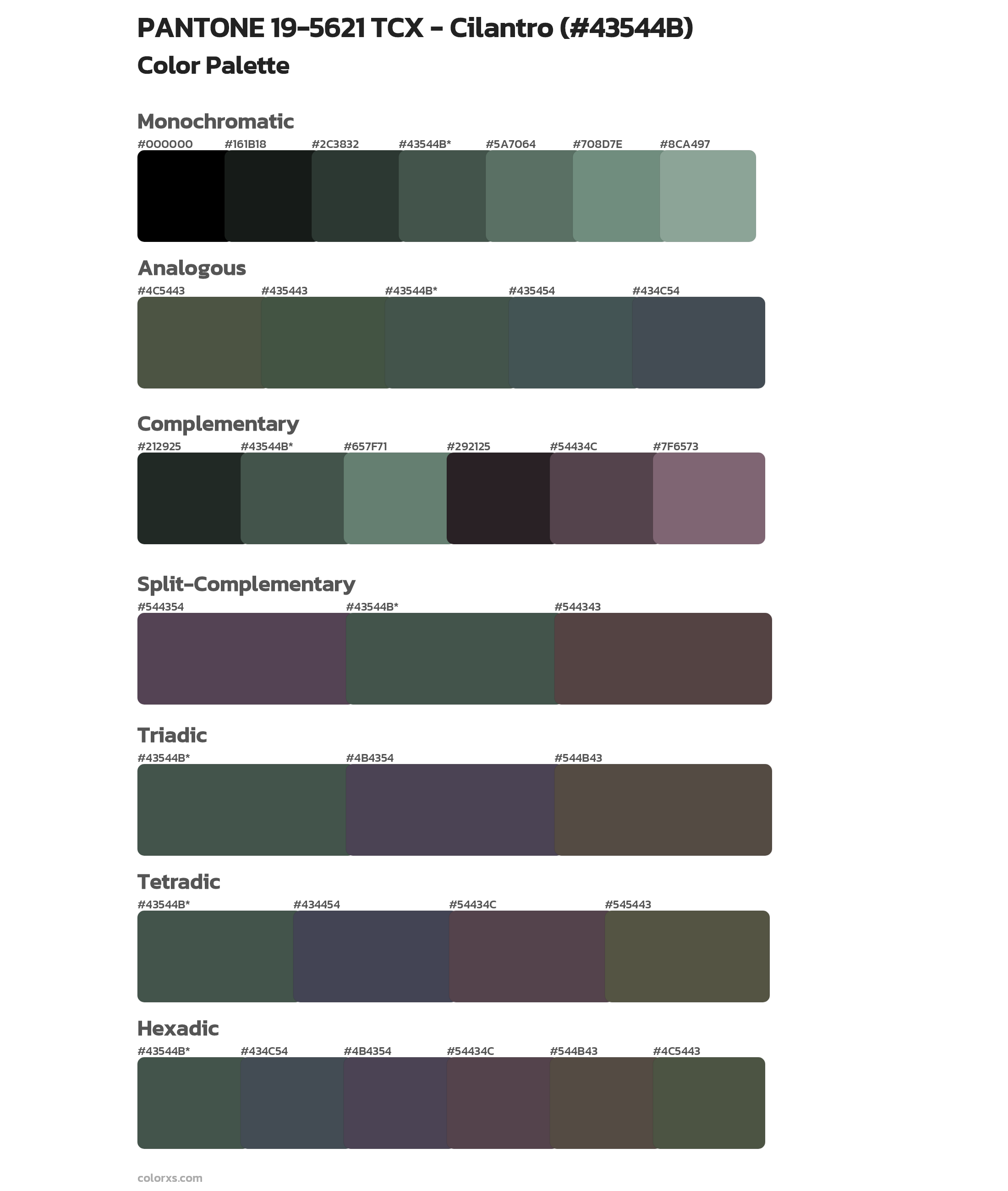 PANTONE 19-5621 TCX - Cilantro Color Scheme Palettes