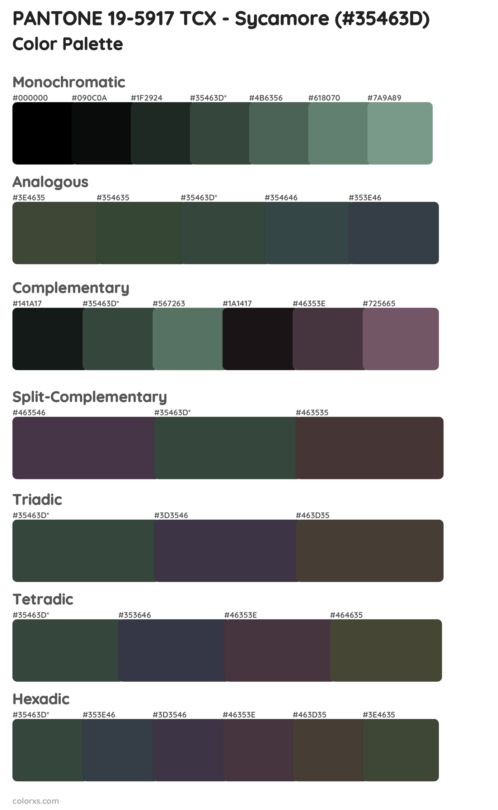PANTONE 19-5917 TCX - Sycamore Color Scheme Palettes