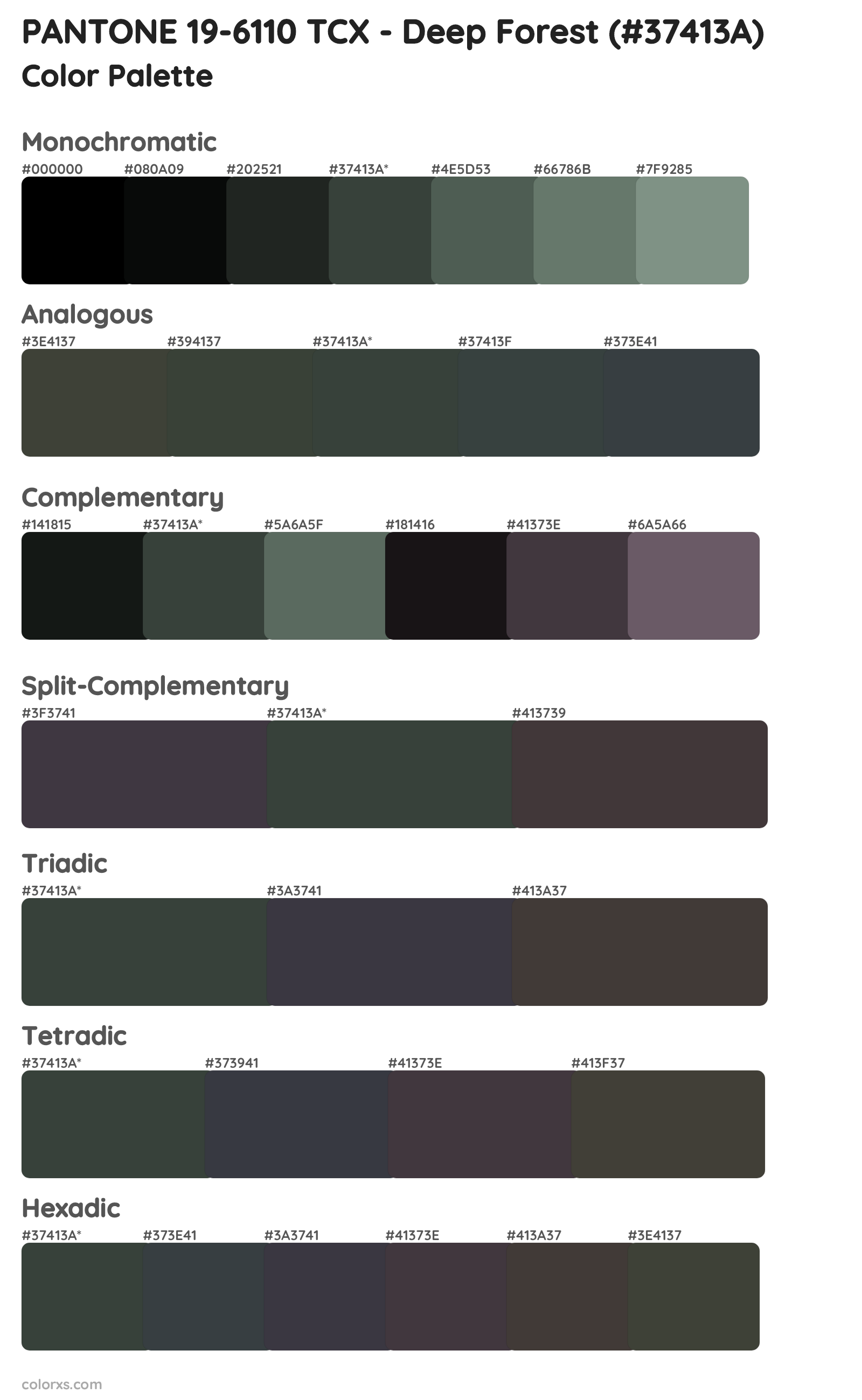 PANTONE 19-6110 TCX - Deep Forest Color Scheme Palettes