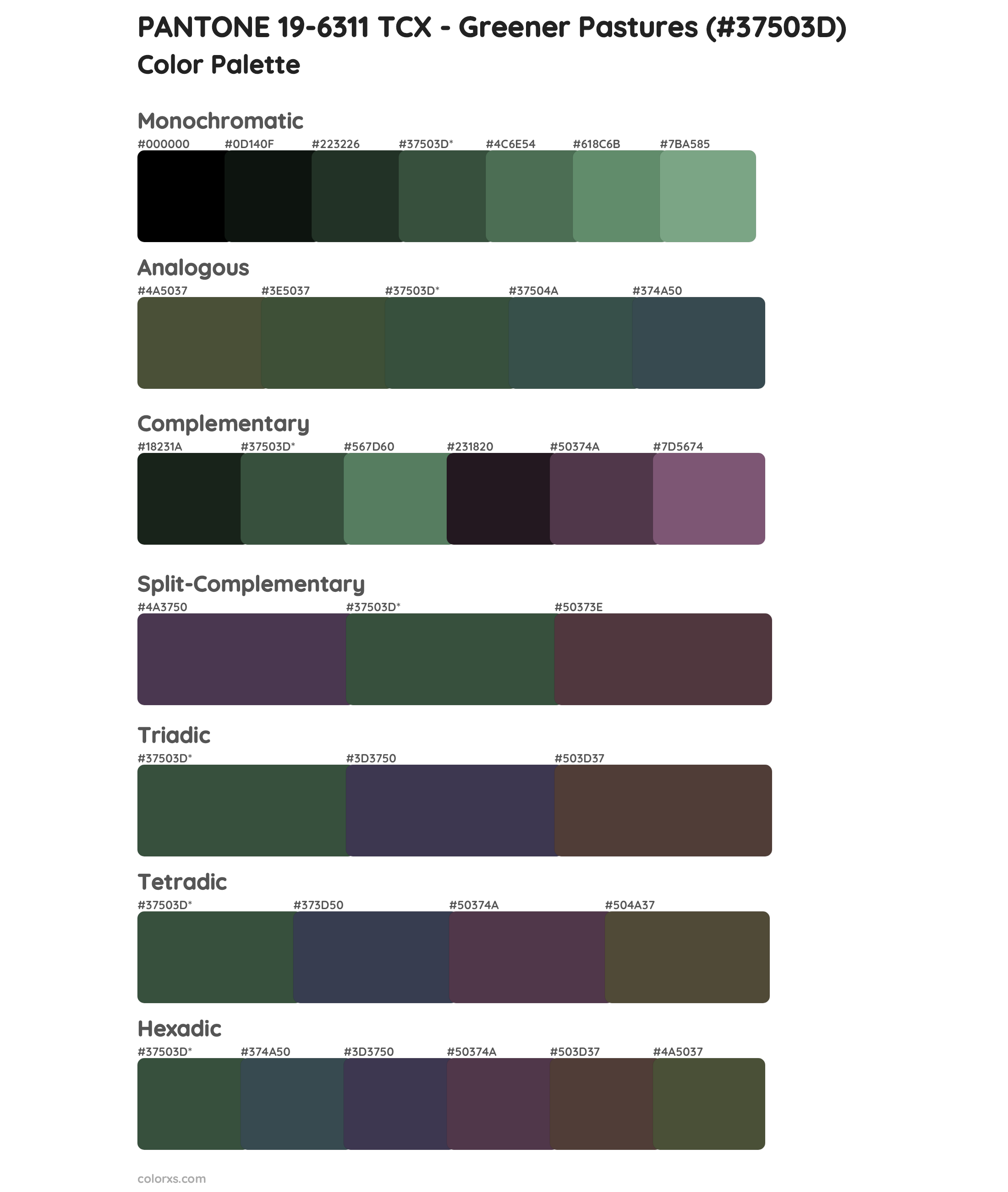 PANTONE 19-6311 TCX - Greener Pastures Color Scheme Palettes