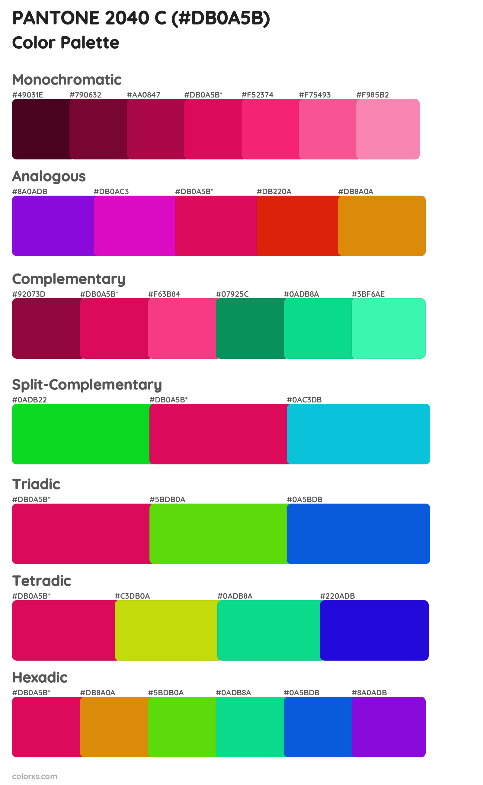 PANTONE 2040 C Color Scheme Palettes