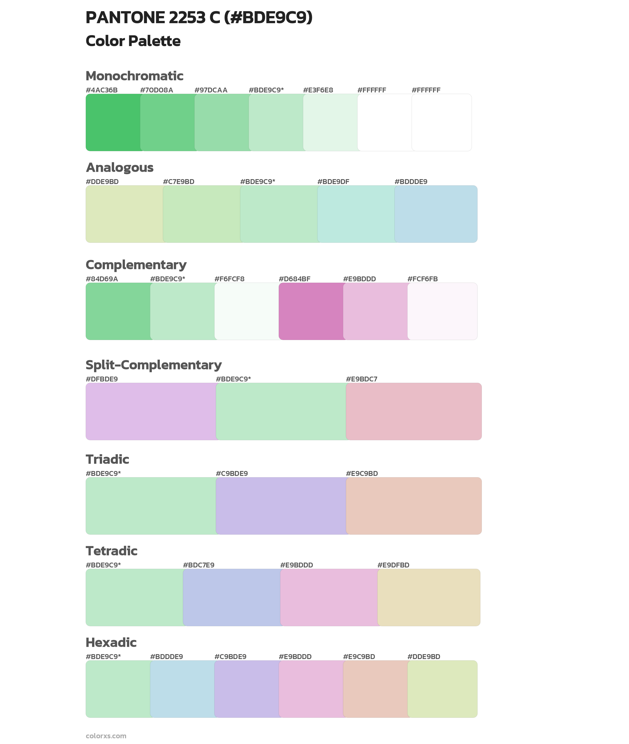 PANTONE 2253 C Color Scheme Palettes