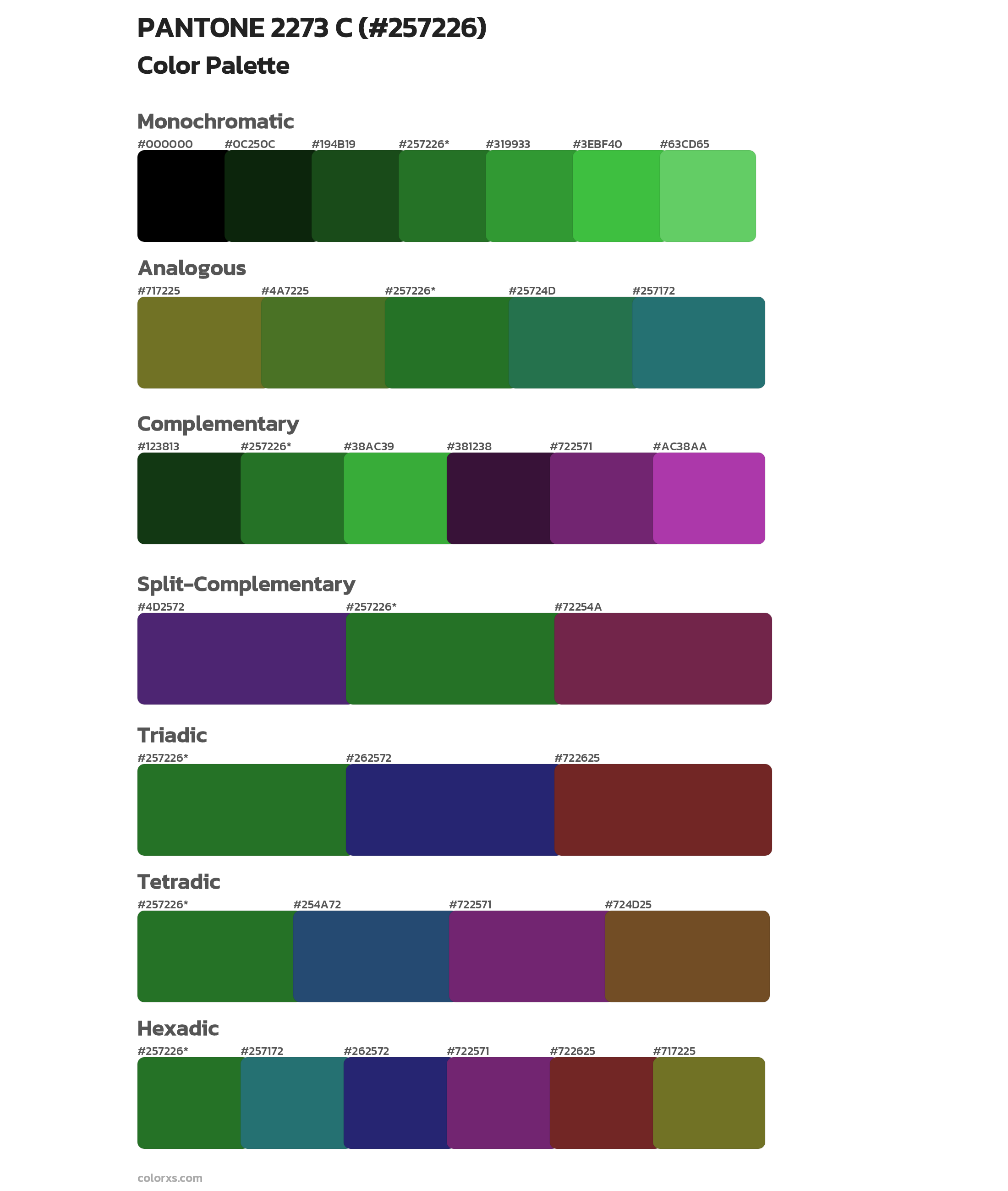 PANTONE 2273 C Color Scheme Palettes