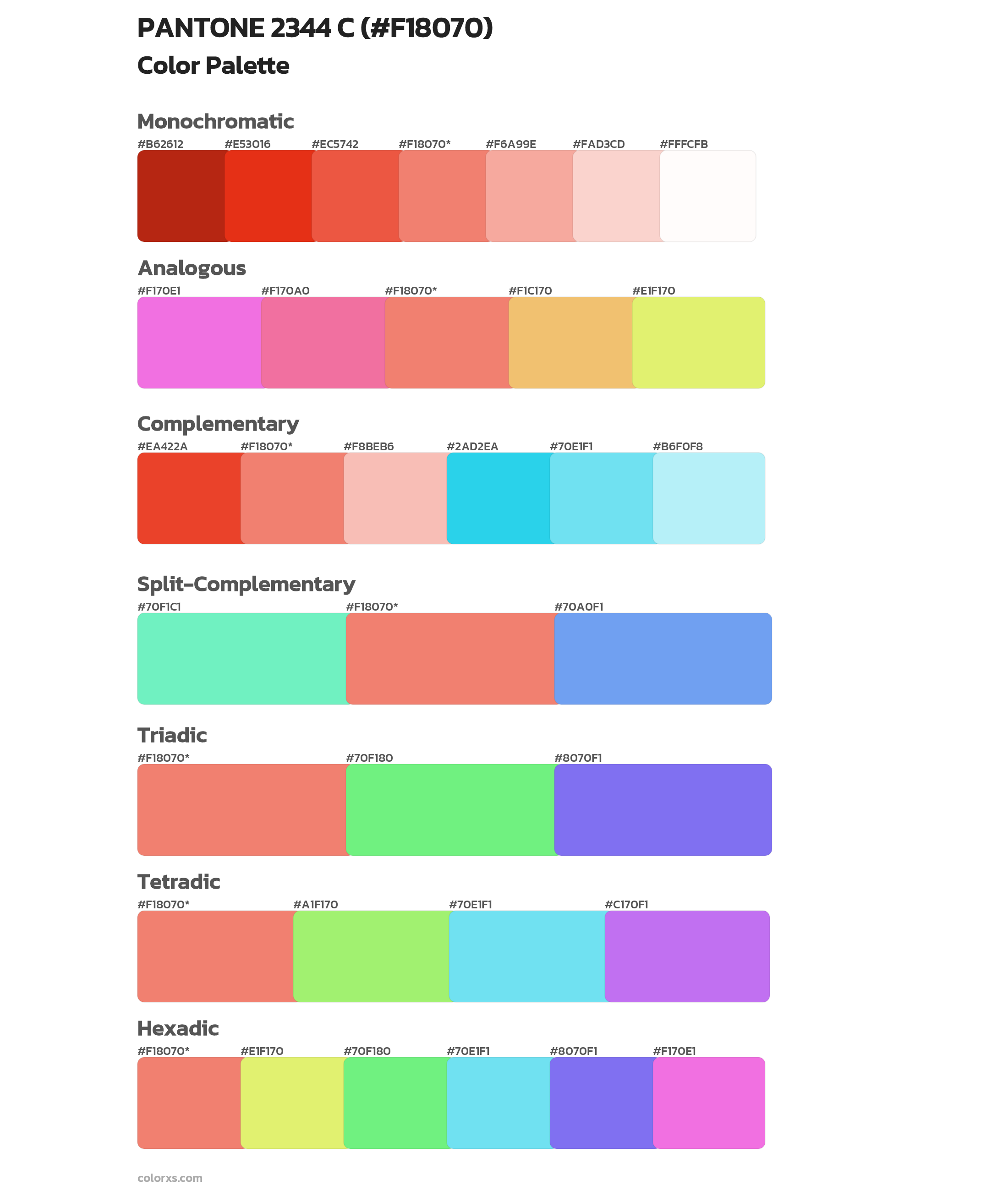 PANTONE 2344 C Color Scheme Palettes