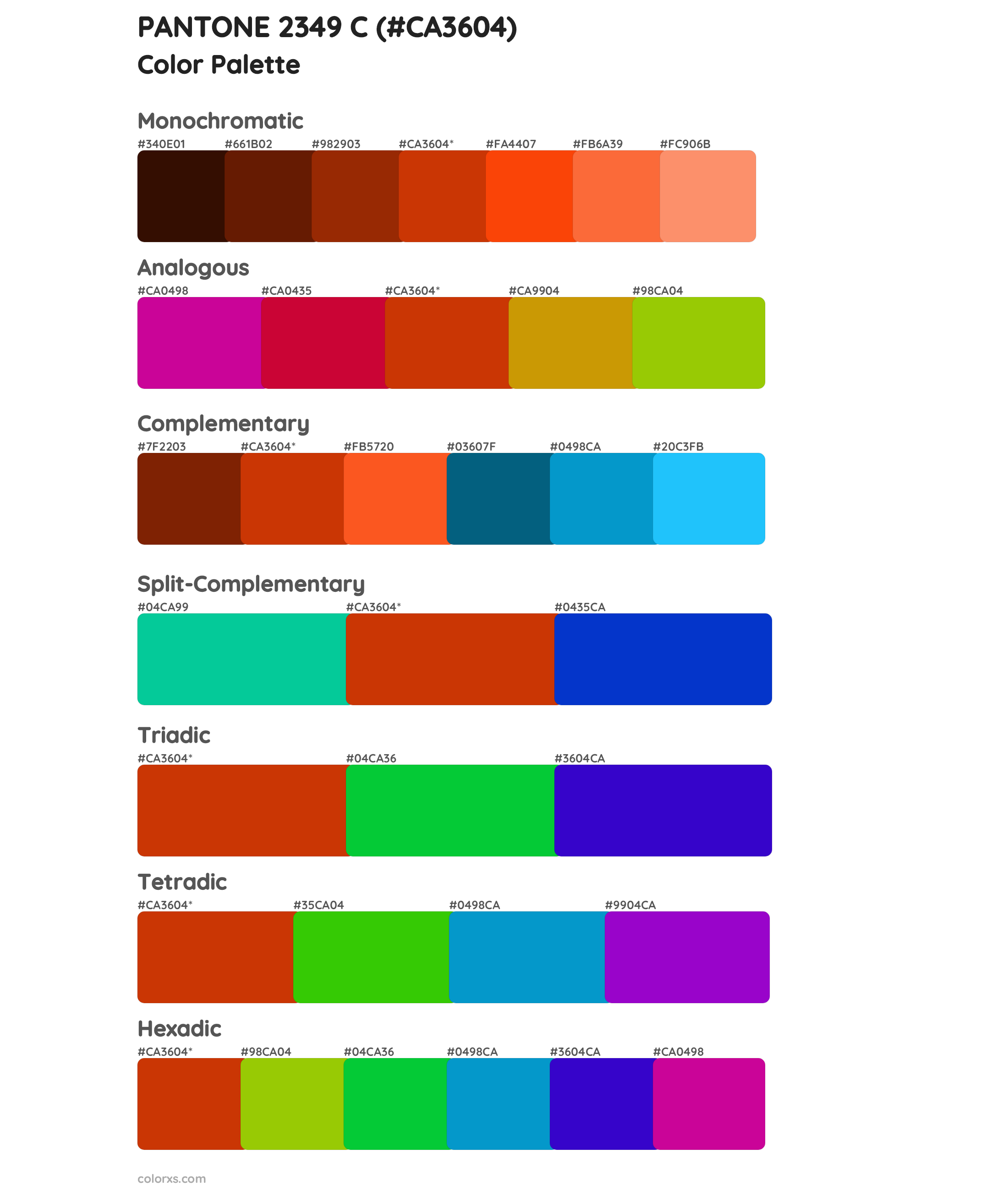 PANTONE 2349 C Color Scheme Palettes