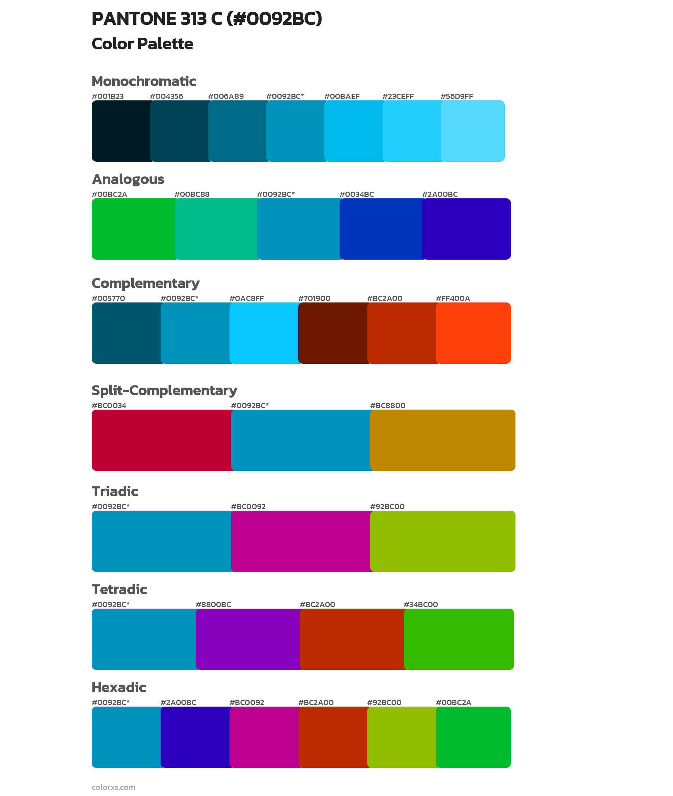 PANTONE 313 C Color Scheme Palettes