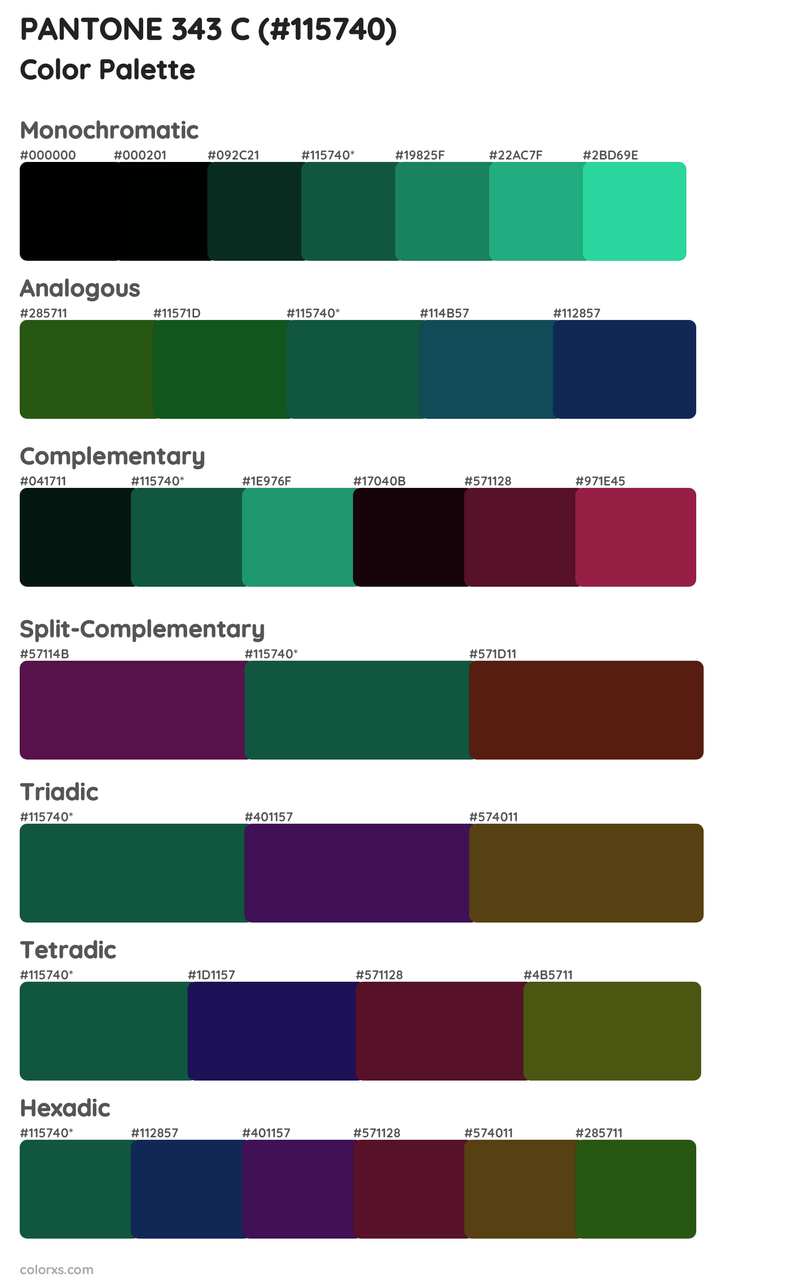 PANTONE 343 C Color Scheme Palettes