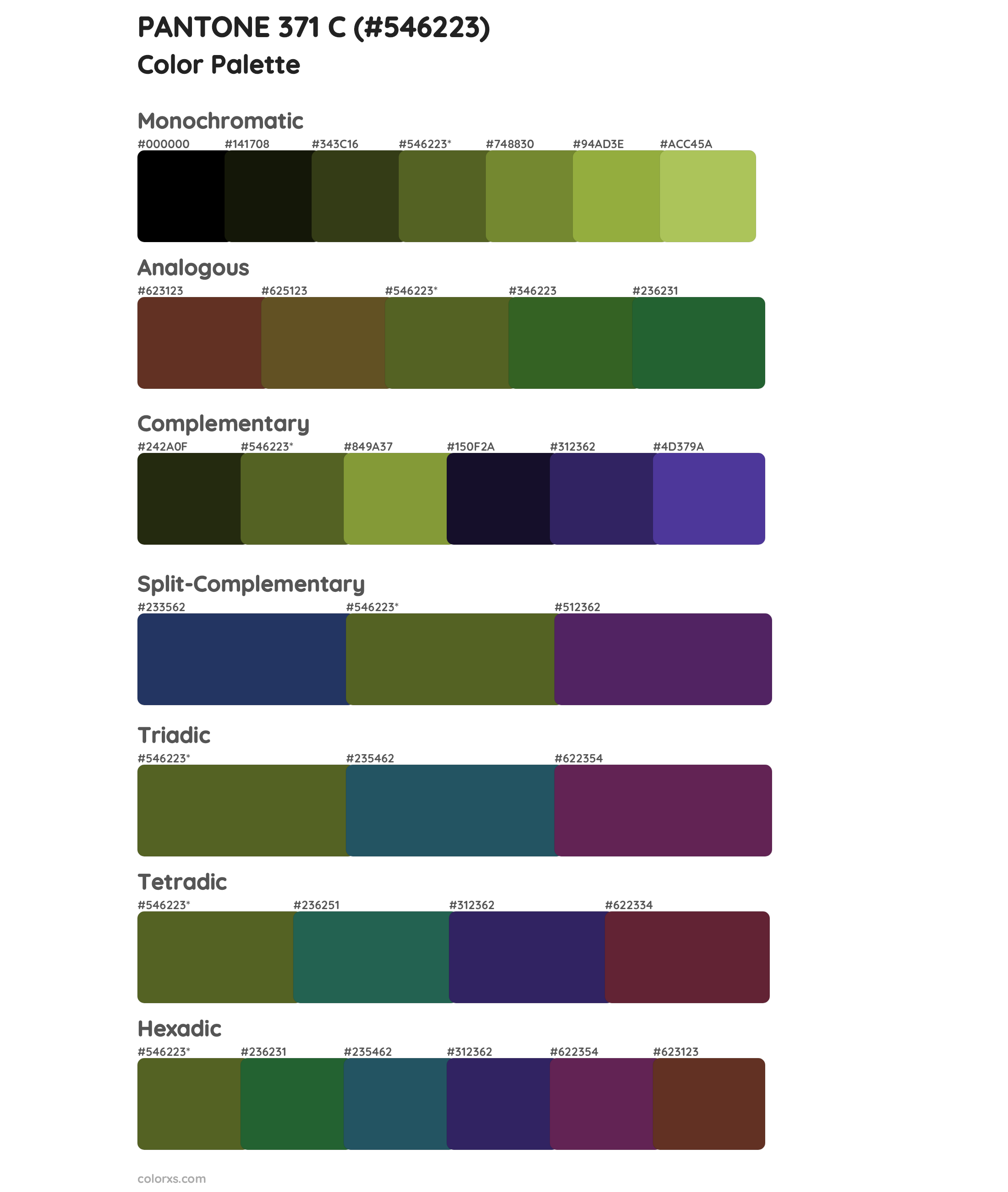 PANTONE 371 C Color Scheme Palettes