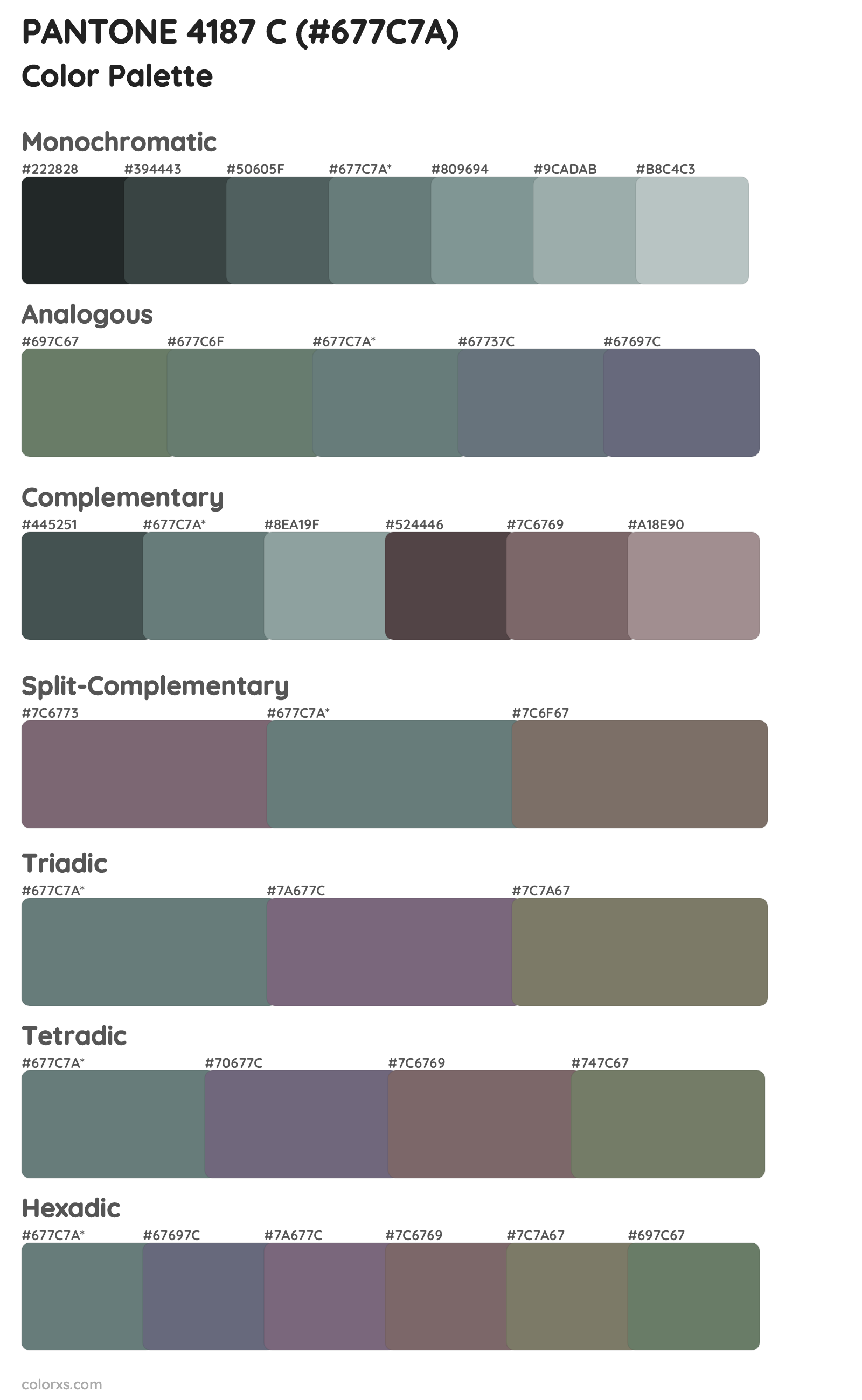 PANTONE 4187 C Color Scheme Palettes