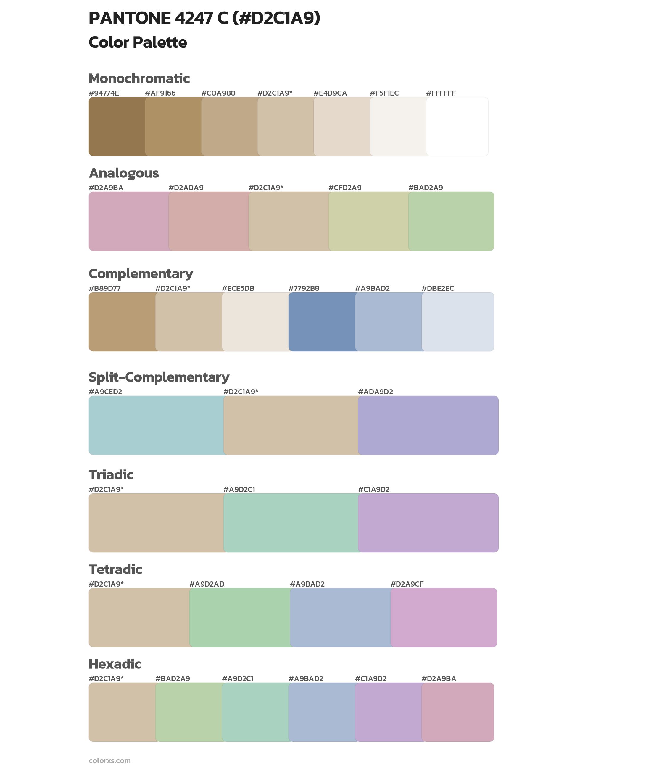 PANTONE 4247 C Color Scheme Palettes