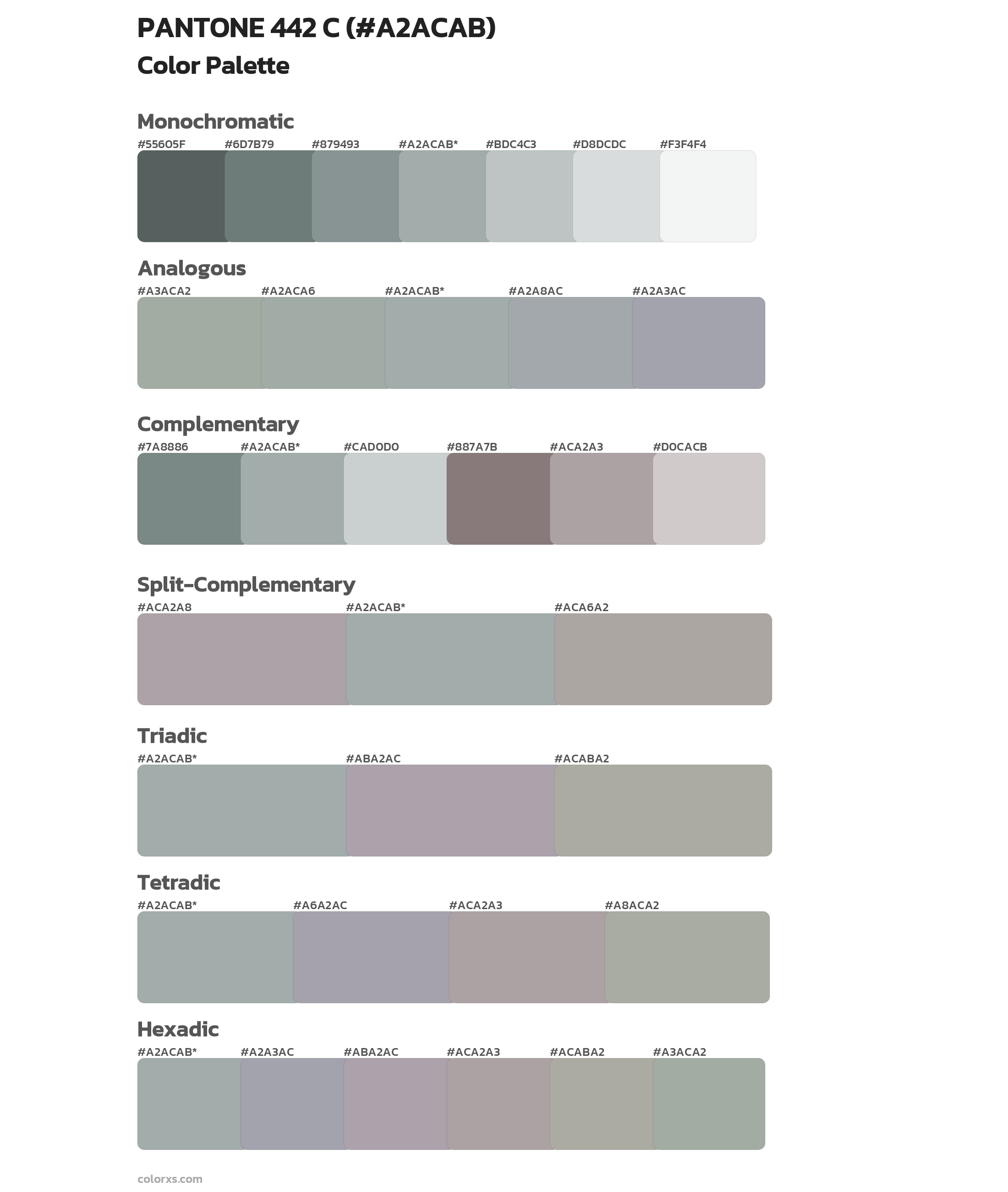 PANTONE 442 C Color Scheme Palettes