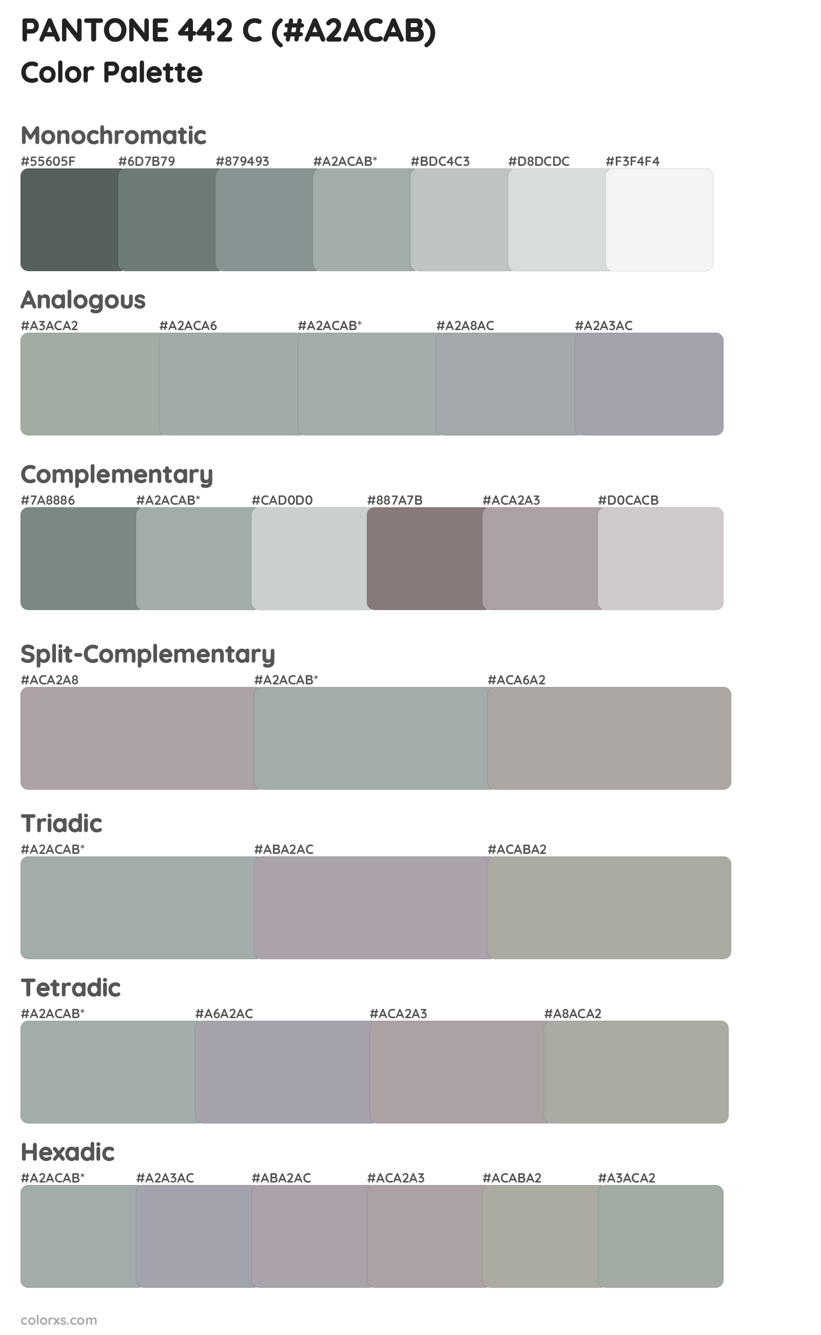 PANTONE 442 C Color Scheme Palettes