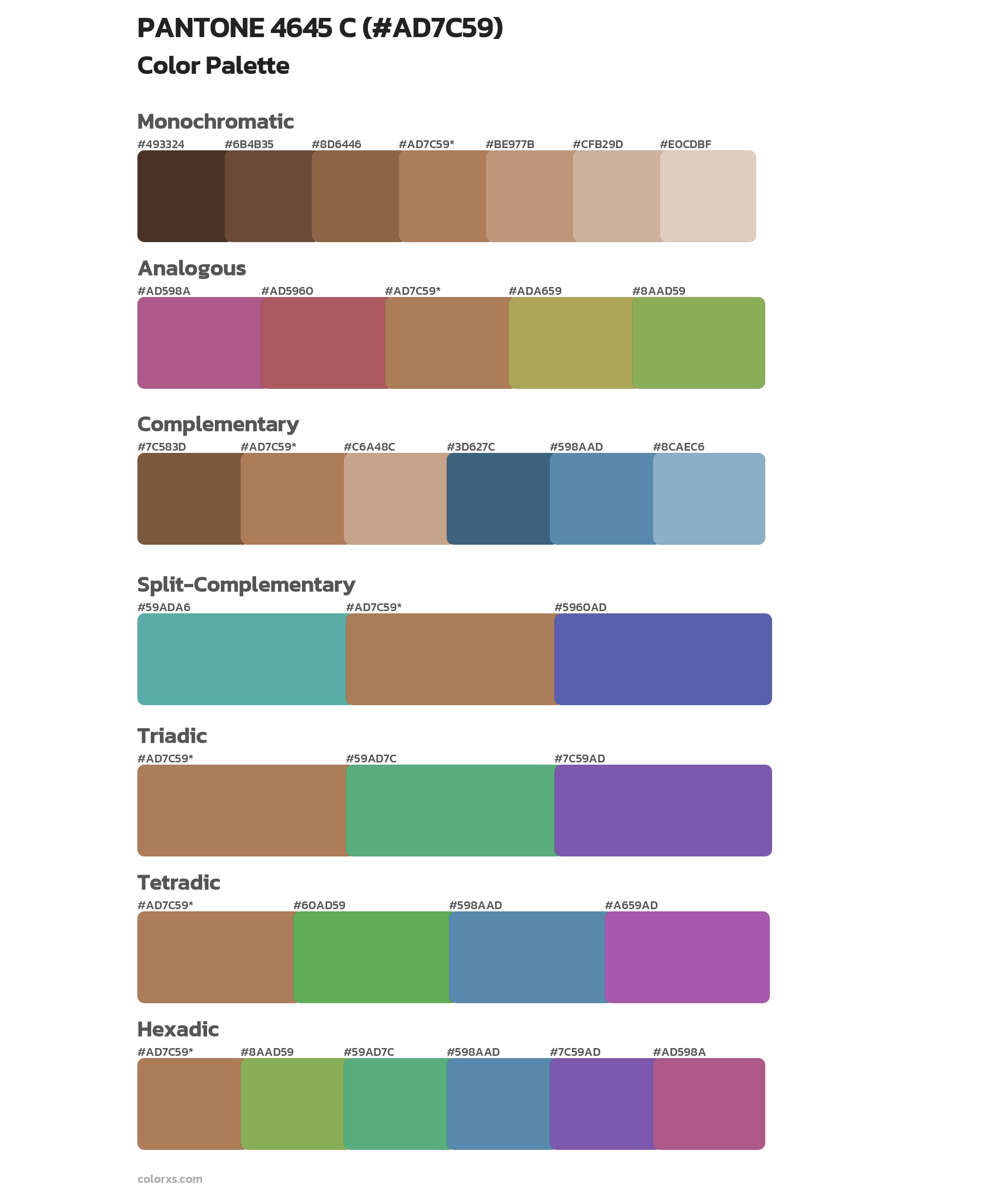 PANTONE 4645 C Color Scheme Palettes