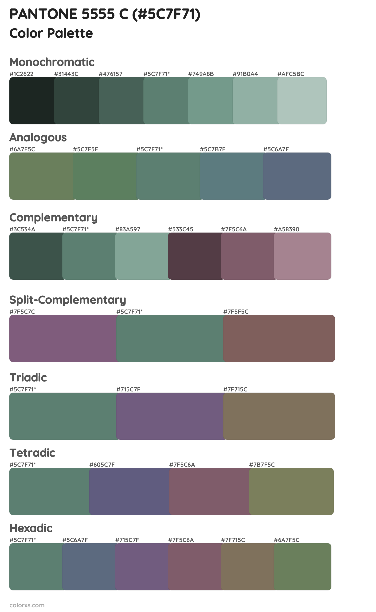 PANTONE 5555 C Color Scheme Palettes