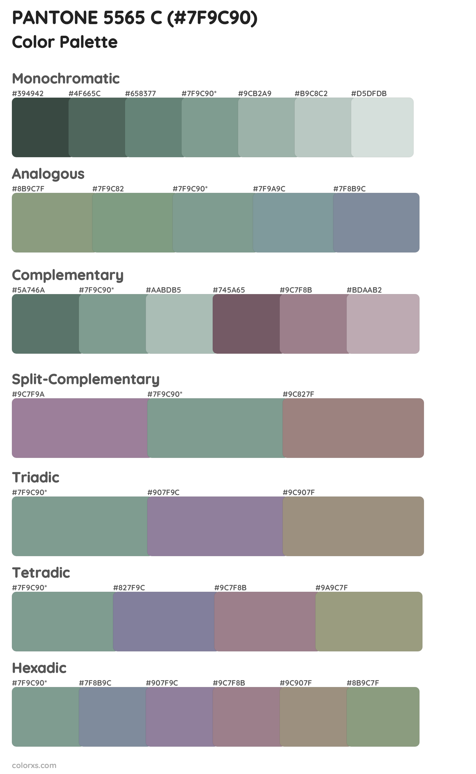 PANTONE 5565 C Color Scheme Palettes