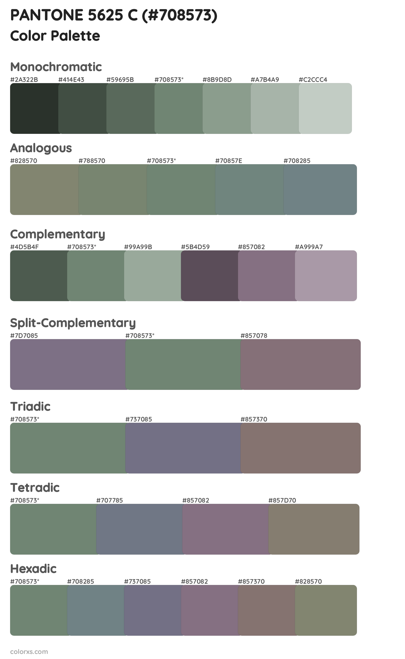 PANTONE 5625 C Color Scheme Palettes