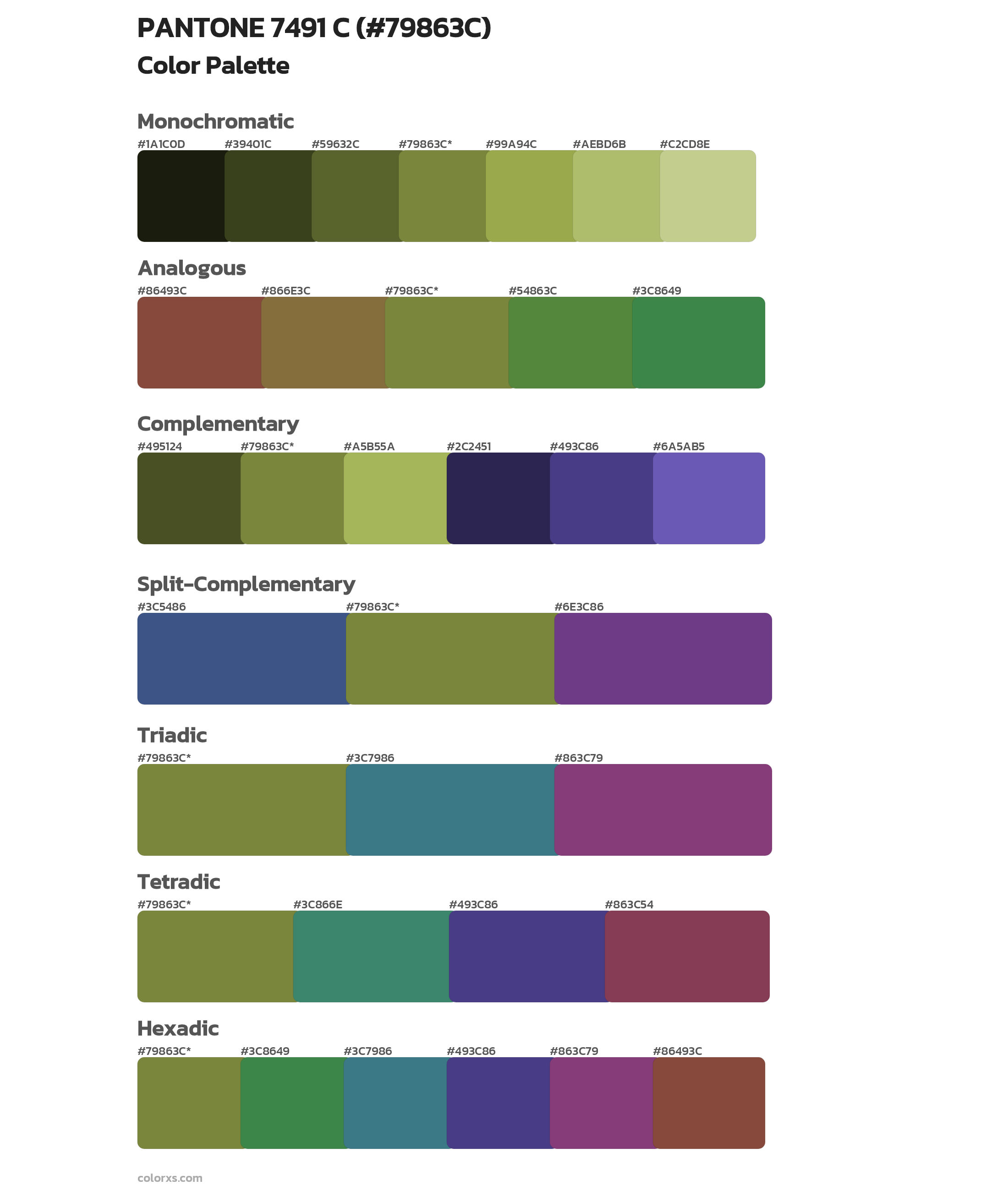 PANTONE 7491 C Color Scheme Palettes