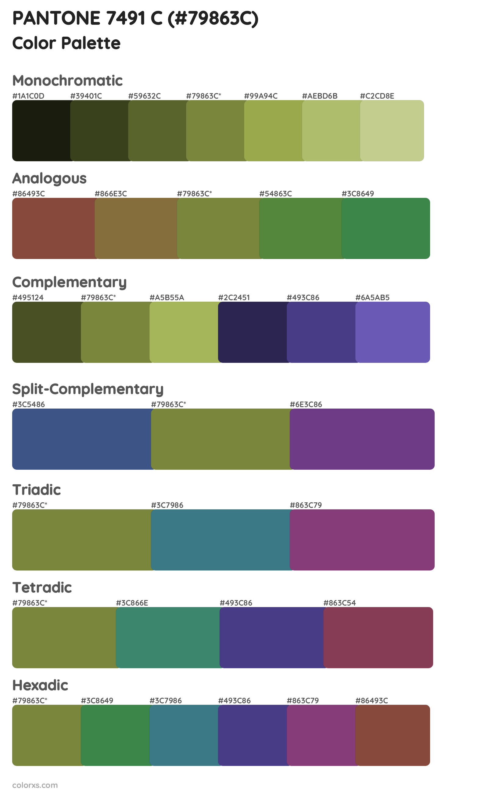PANTONE 7491 C Color Scheme Palettes