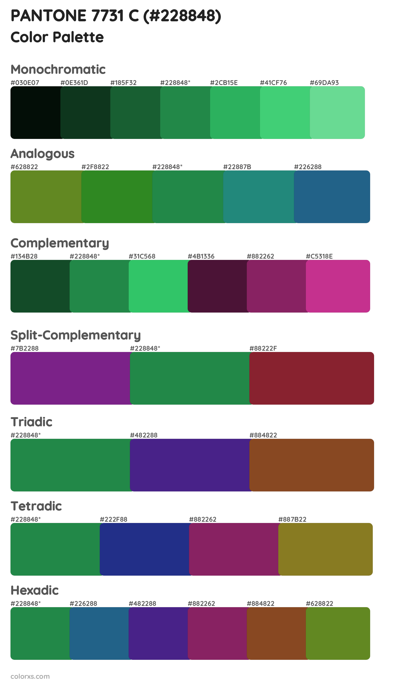 PANTONE 7731 C Color Scheme Palettes