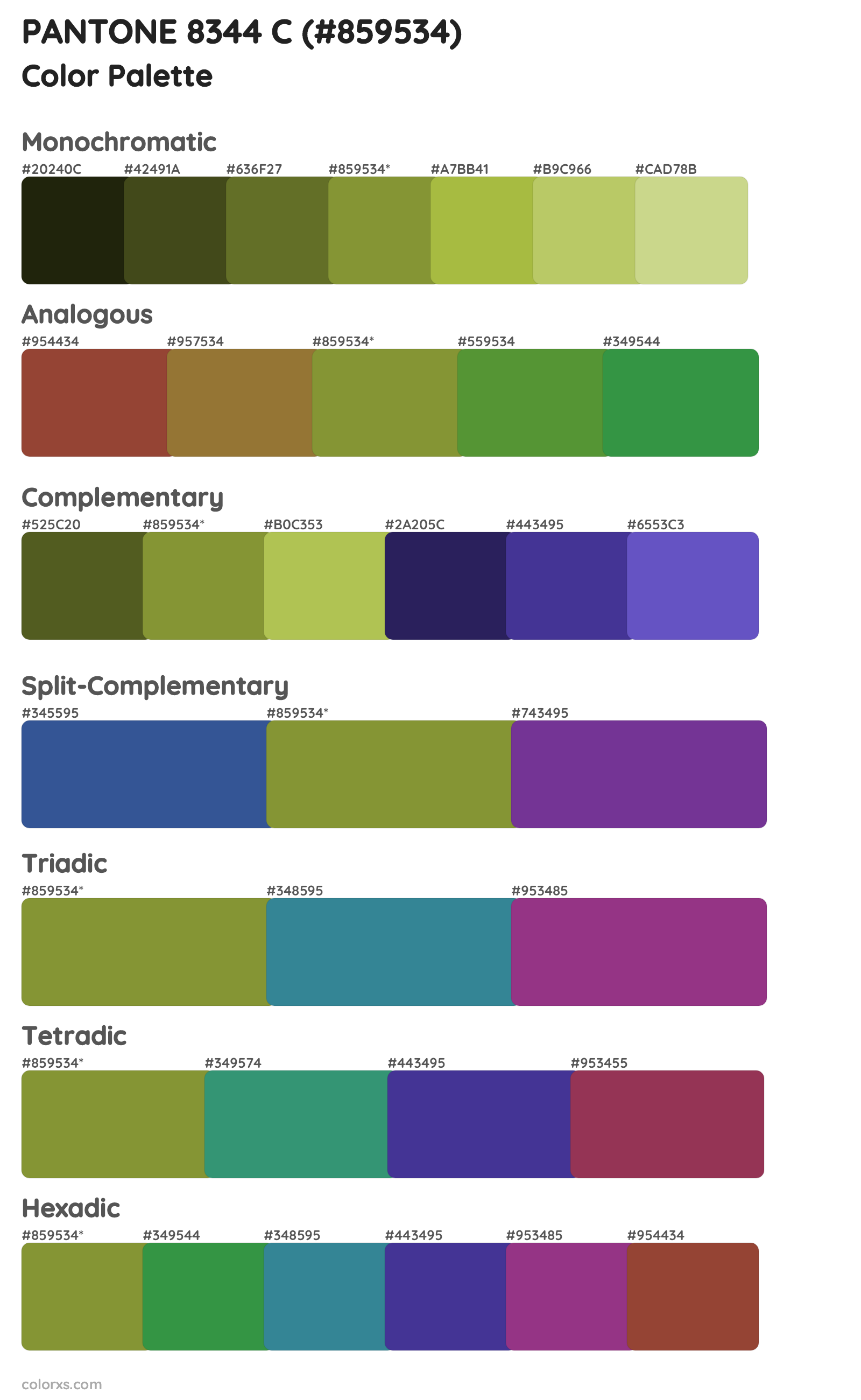 PANTONE 8344 C Color Scheme Palettes