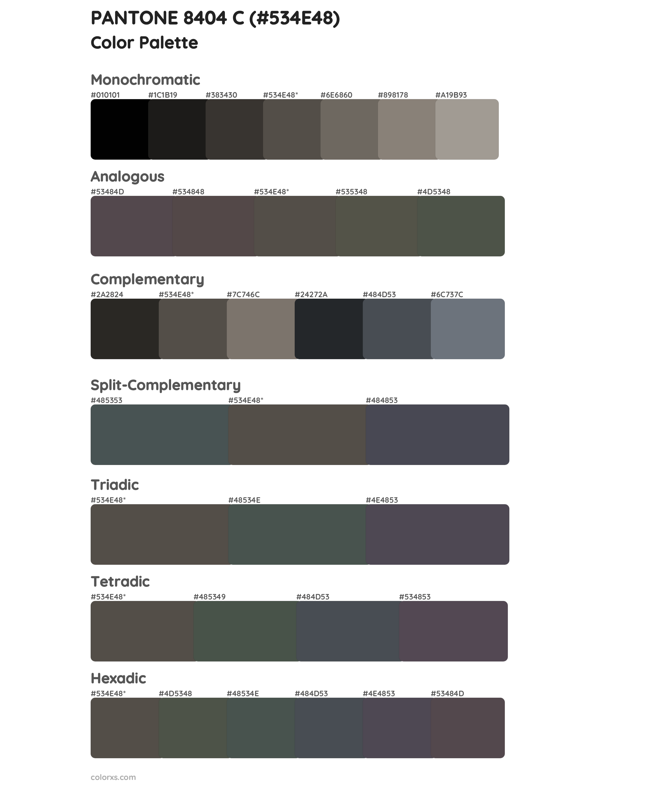 PANTONE 8404 C Color Scheme Palettes