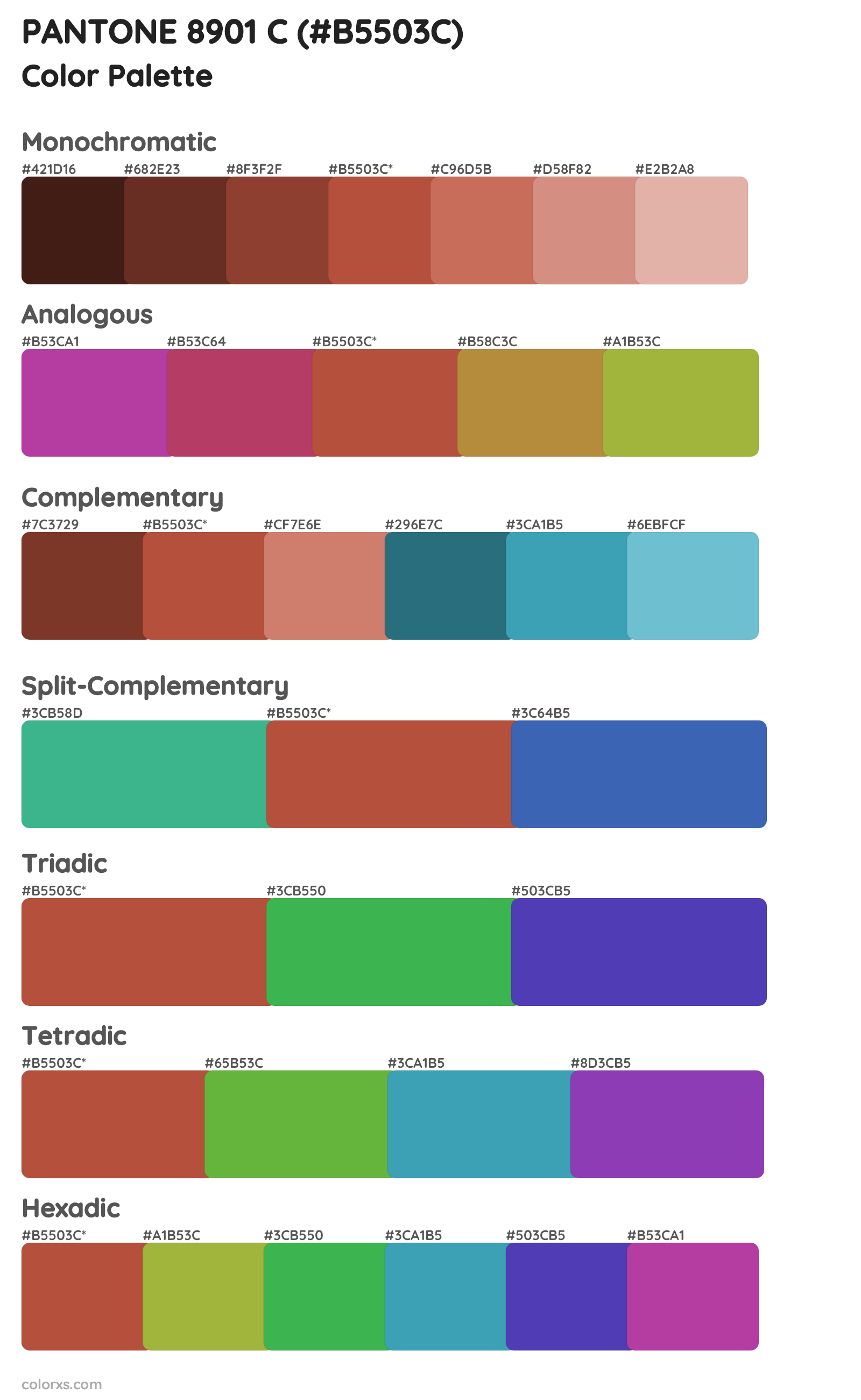 PANTONE 8901 C Color Scheme Palettes