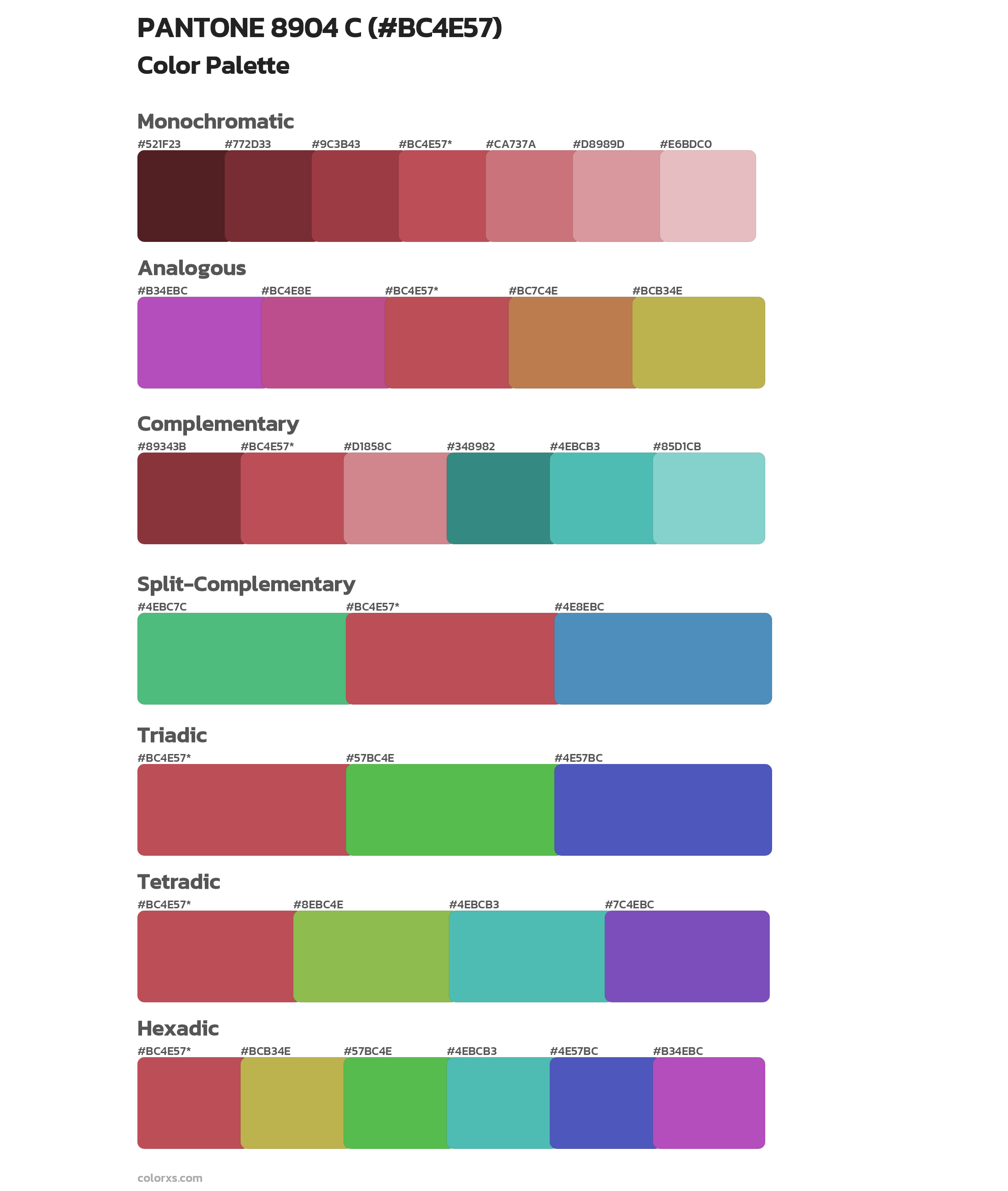 PANTONE 8904 C Color Scheme Palettes