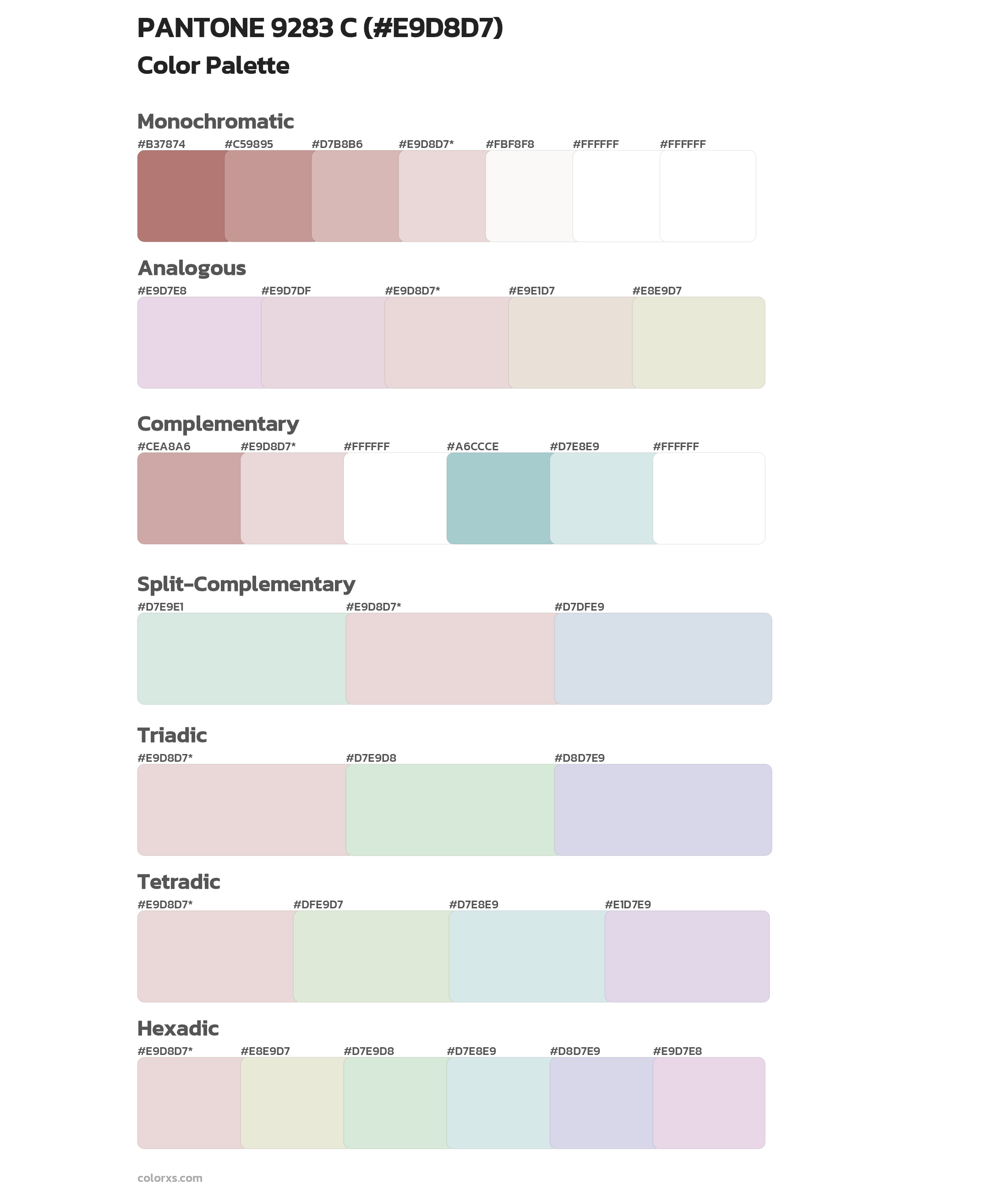 PANTONE 9283 C Color Scheme Palettes