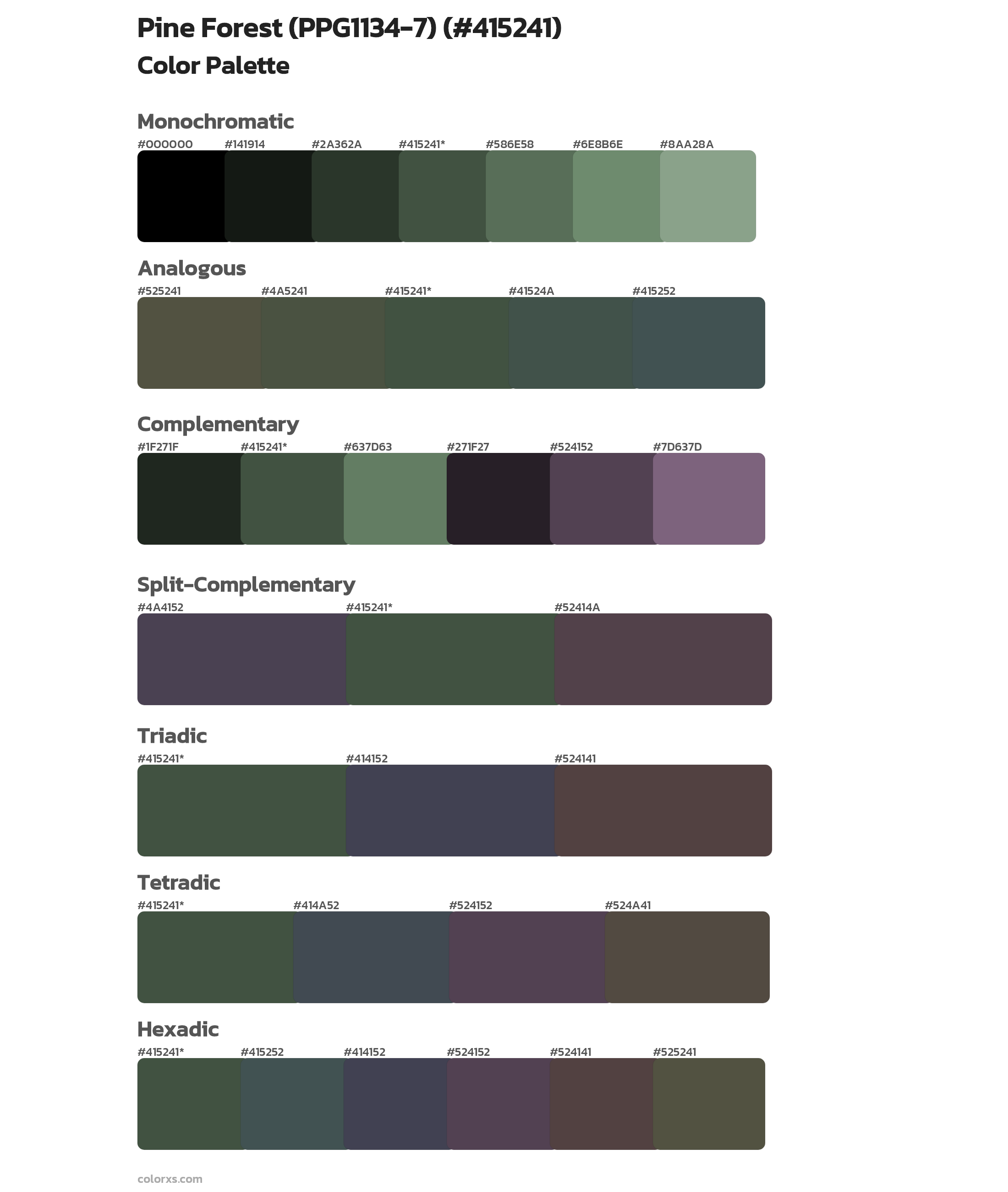 Pine Forest (PPG1134-7) Color Scheme Palettes