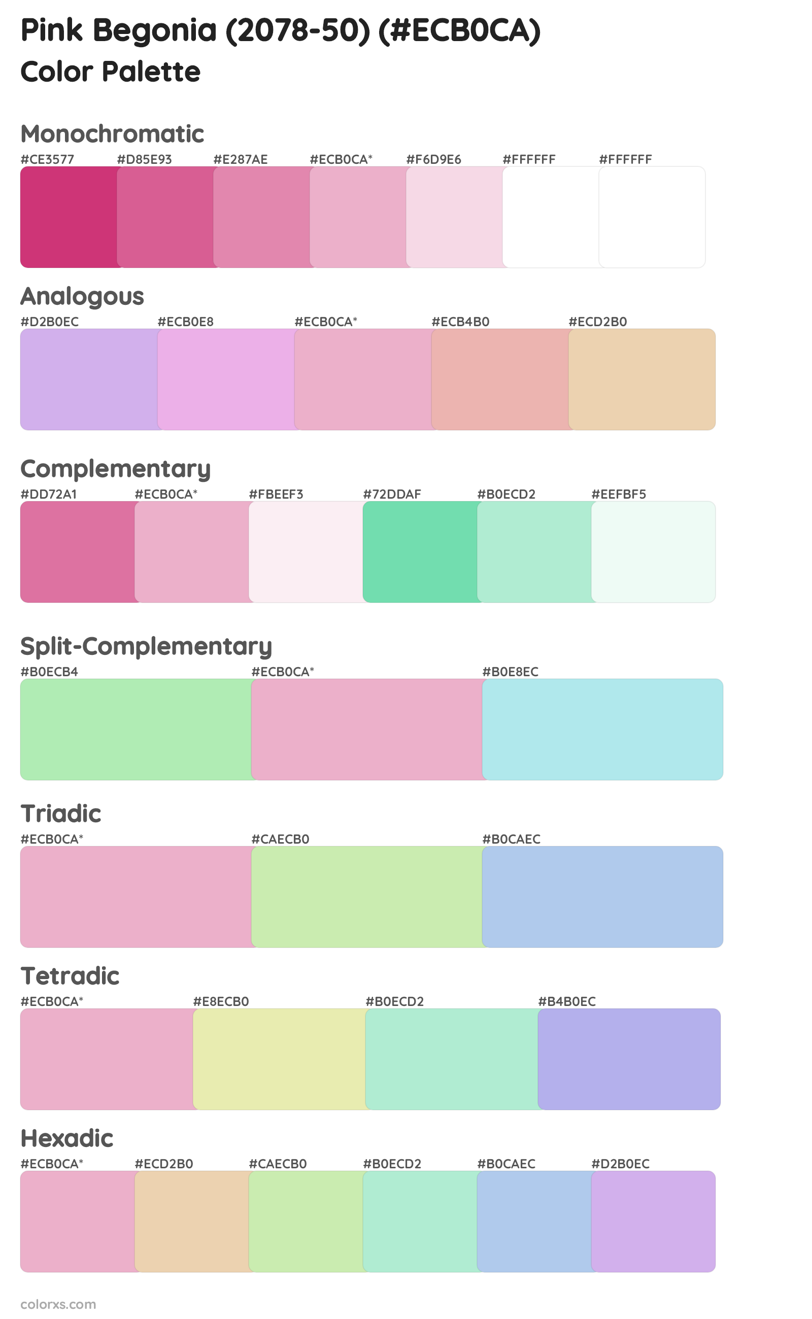 Pink Begonia (2078-50) Color Scheme Palettes