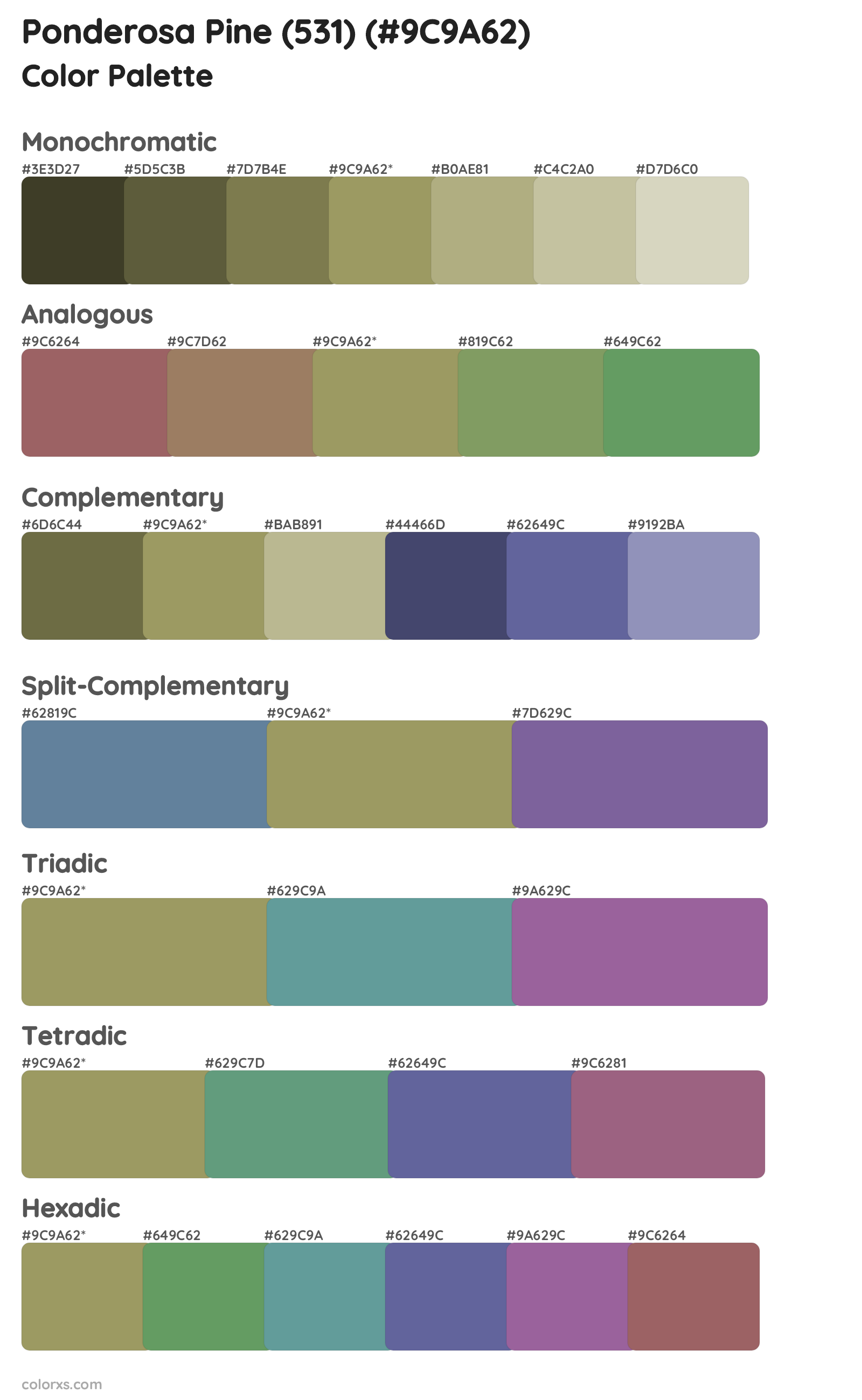 Ponderosa Pine (531) Color Scheme Palettes