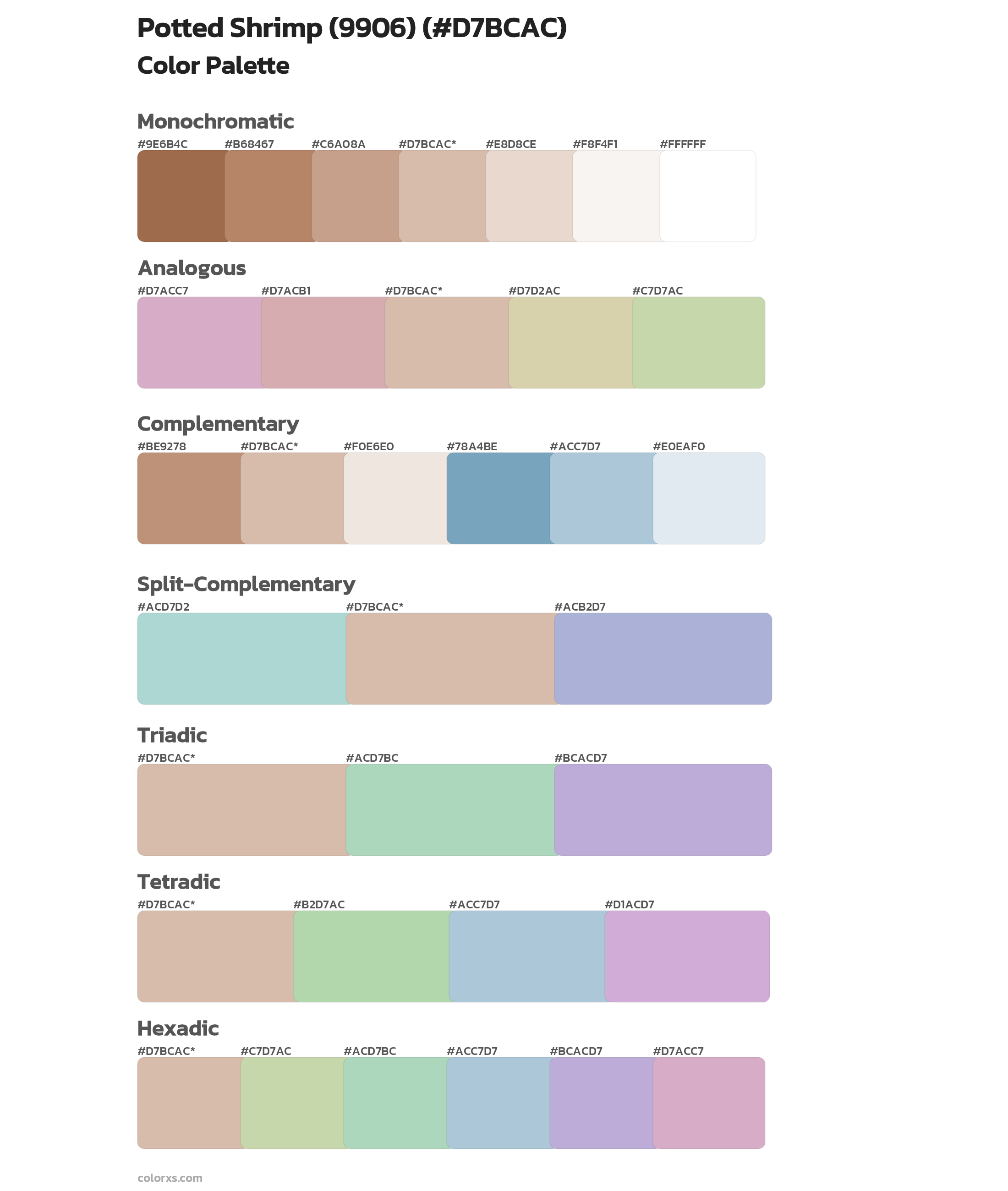 Potted Shrimp (9906) Color Scheme Palettes