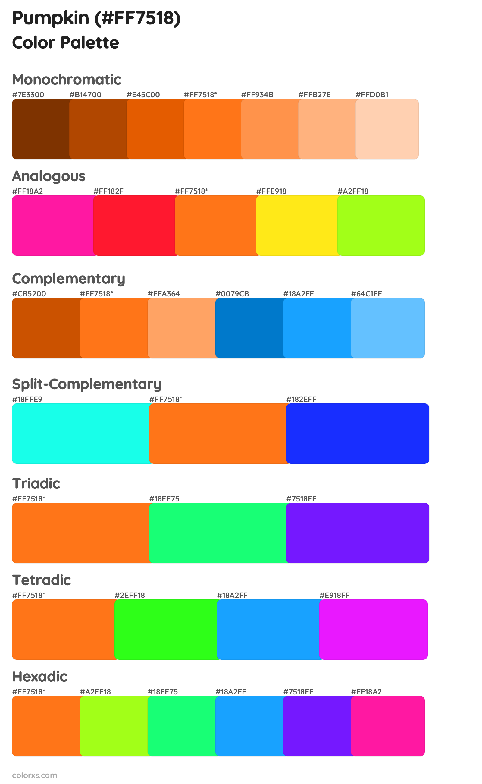 Pumpkin Color Scheme Palettes