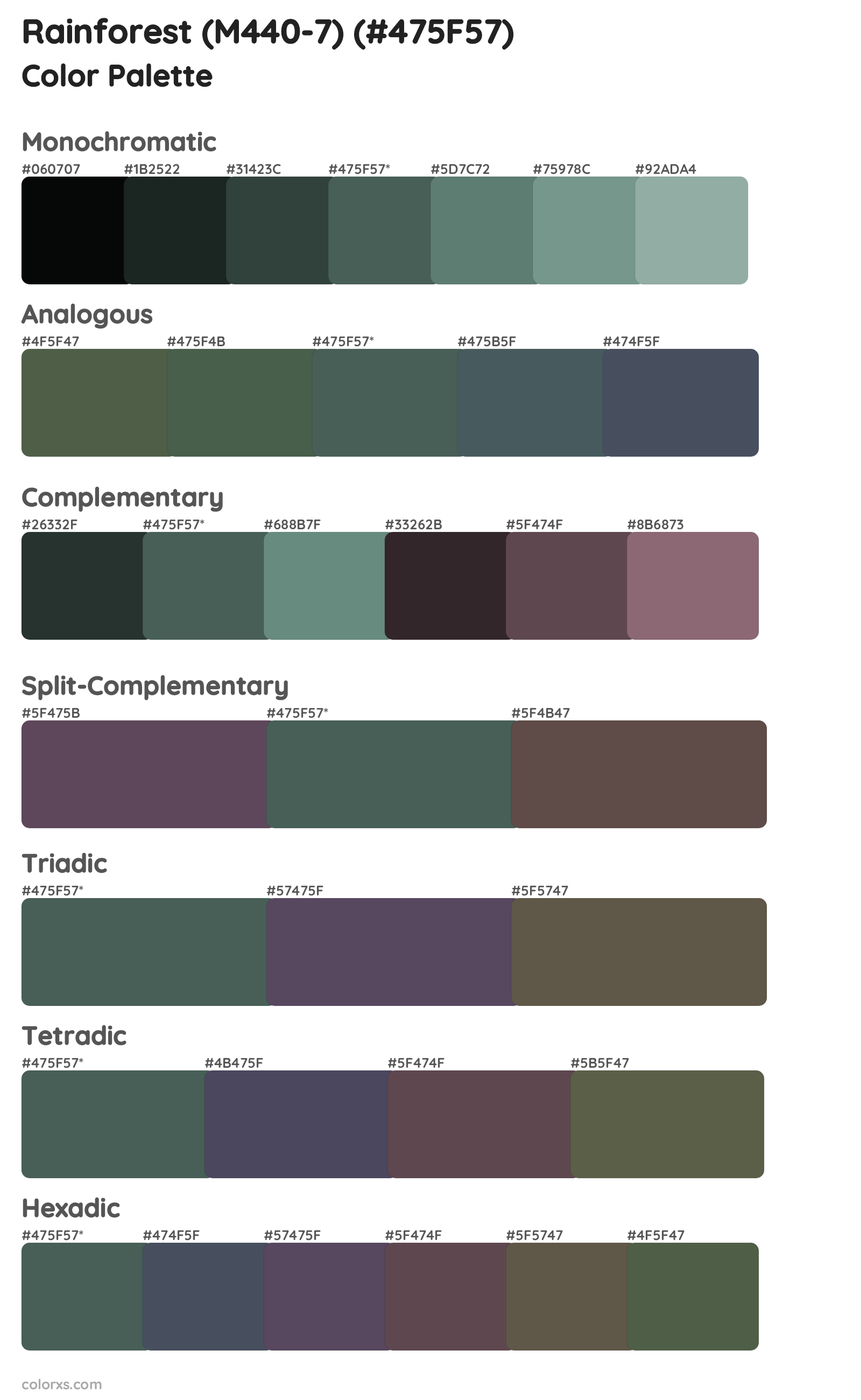 Rainforest (M440-7) Color Scheme Palettes