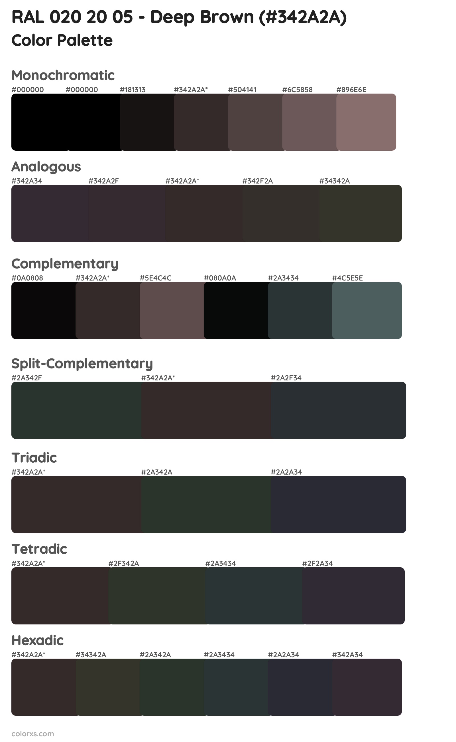 RAL 020 20 05 - Deep Brown Color Scheme Palettes