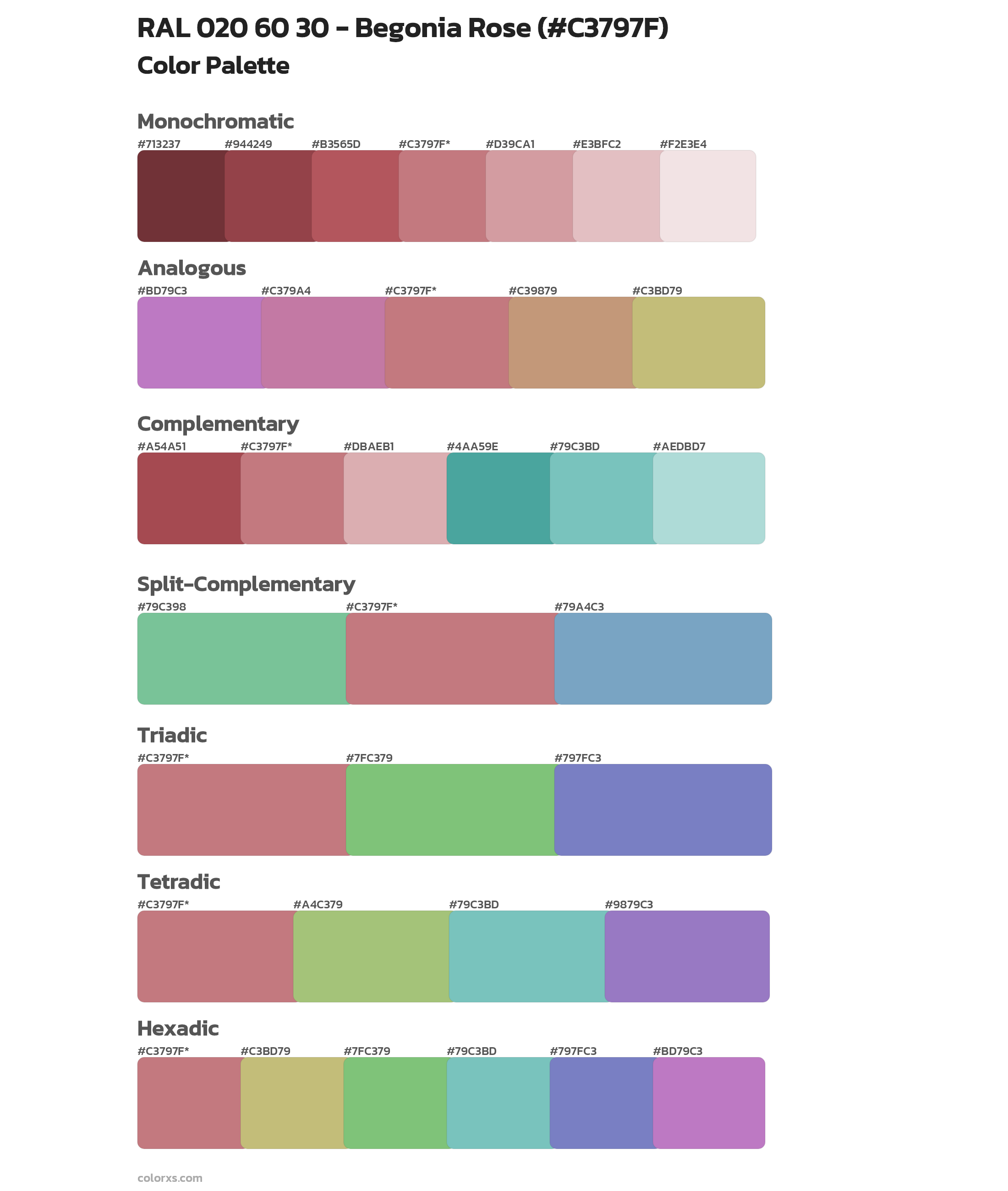 RAL 020 60 30 - Begonia Rose Color Scheme Palettes