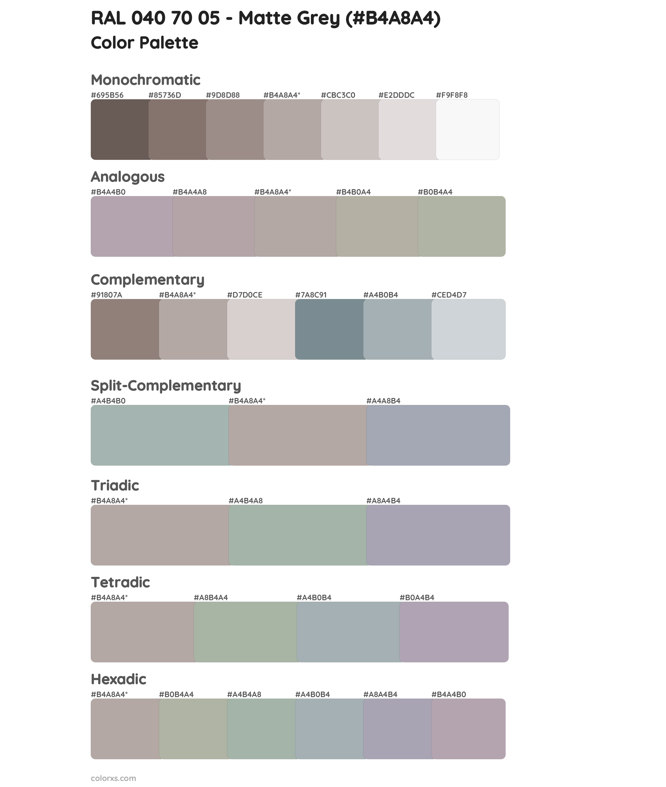 RAL 040 70 05 - Matte Grey Color Scheme Palettes