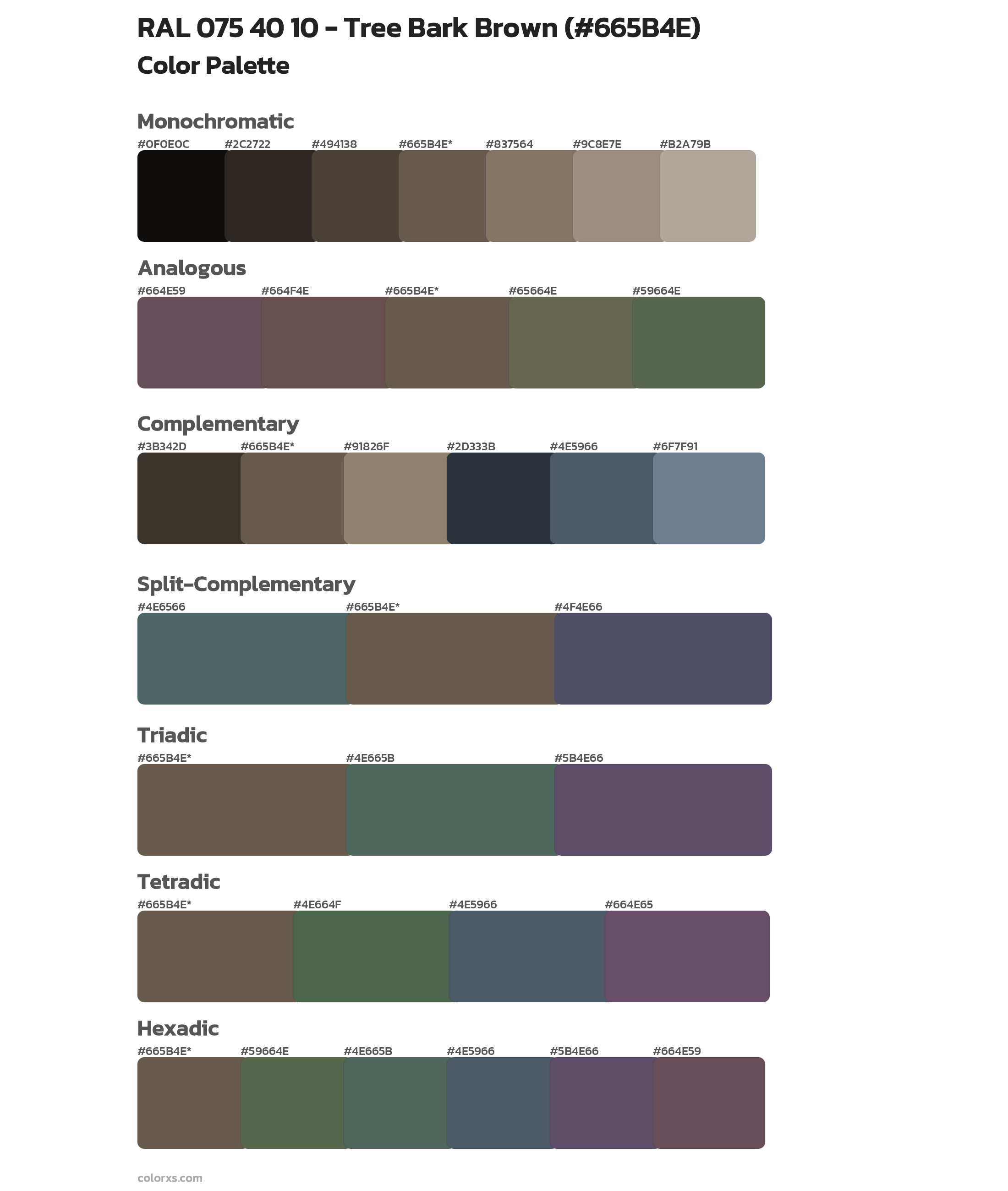 RAL 075 40 10 - Tree Bark Brown Color Scheme Palettes