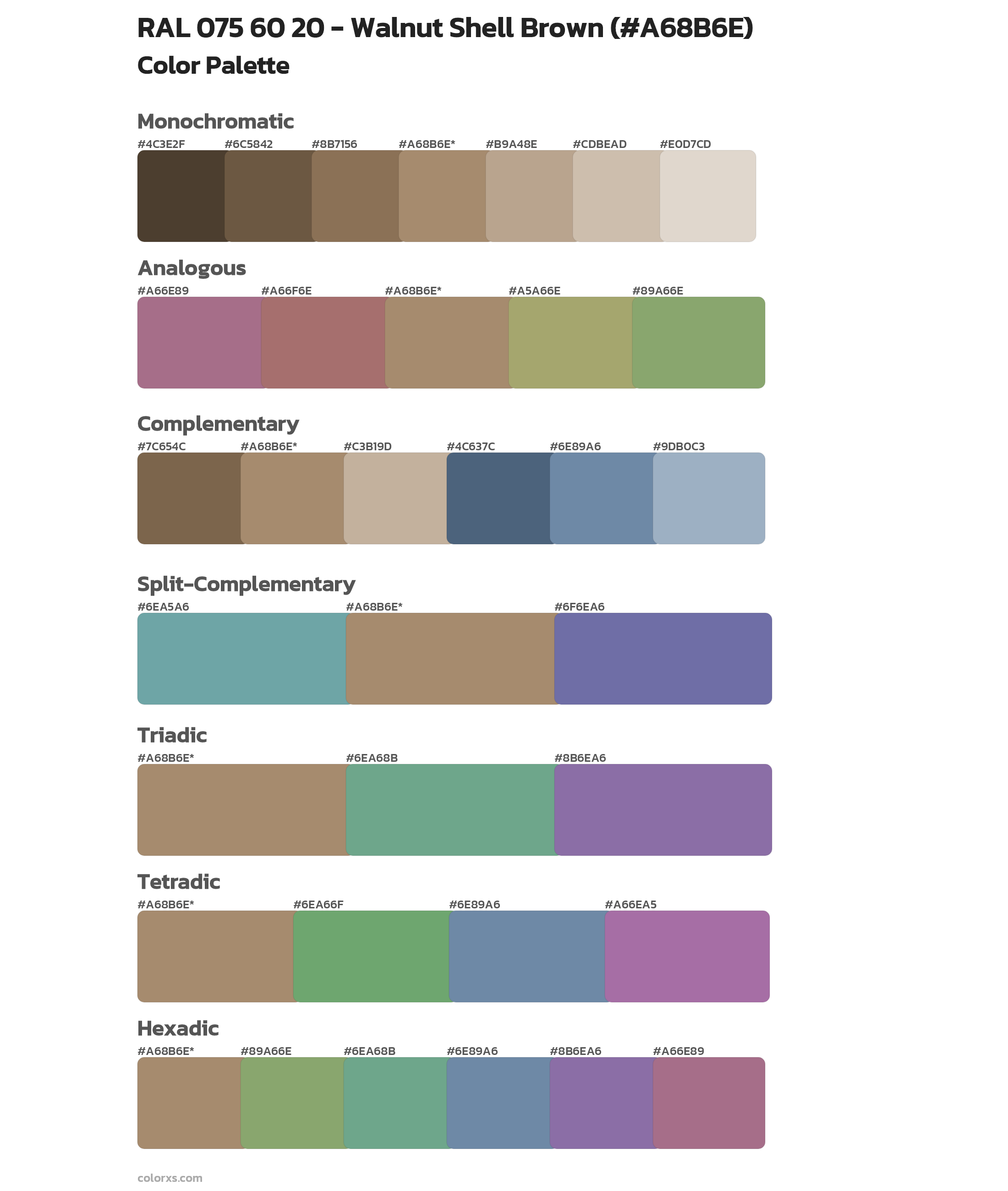 RAL 075 60 20 - Walnut Shell Brown Color Scheme Palettes