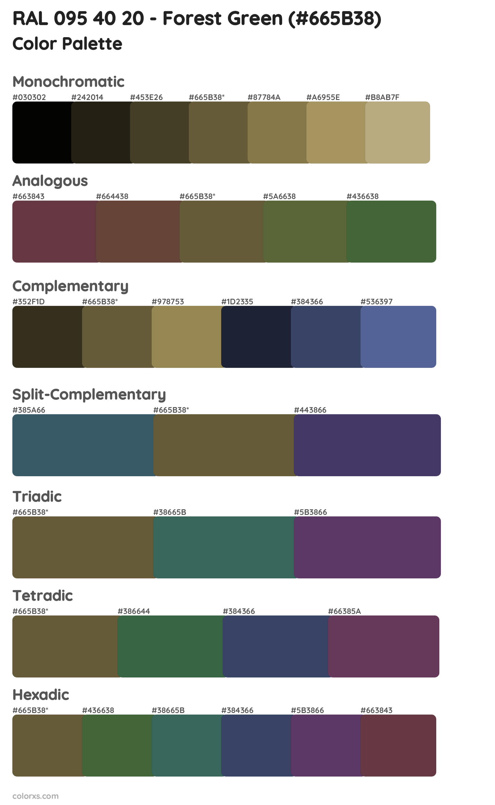 RAL 095 40 20 - Forest Green Color Scheme Palettes