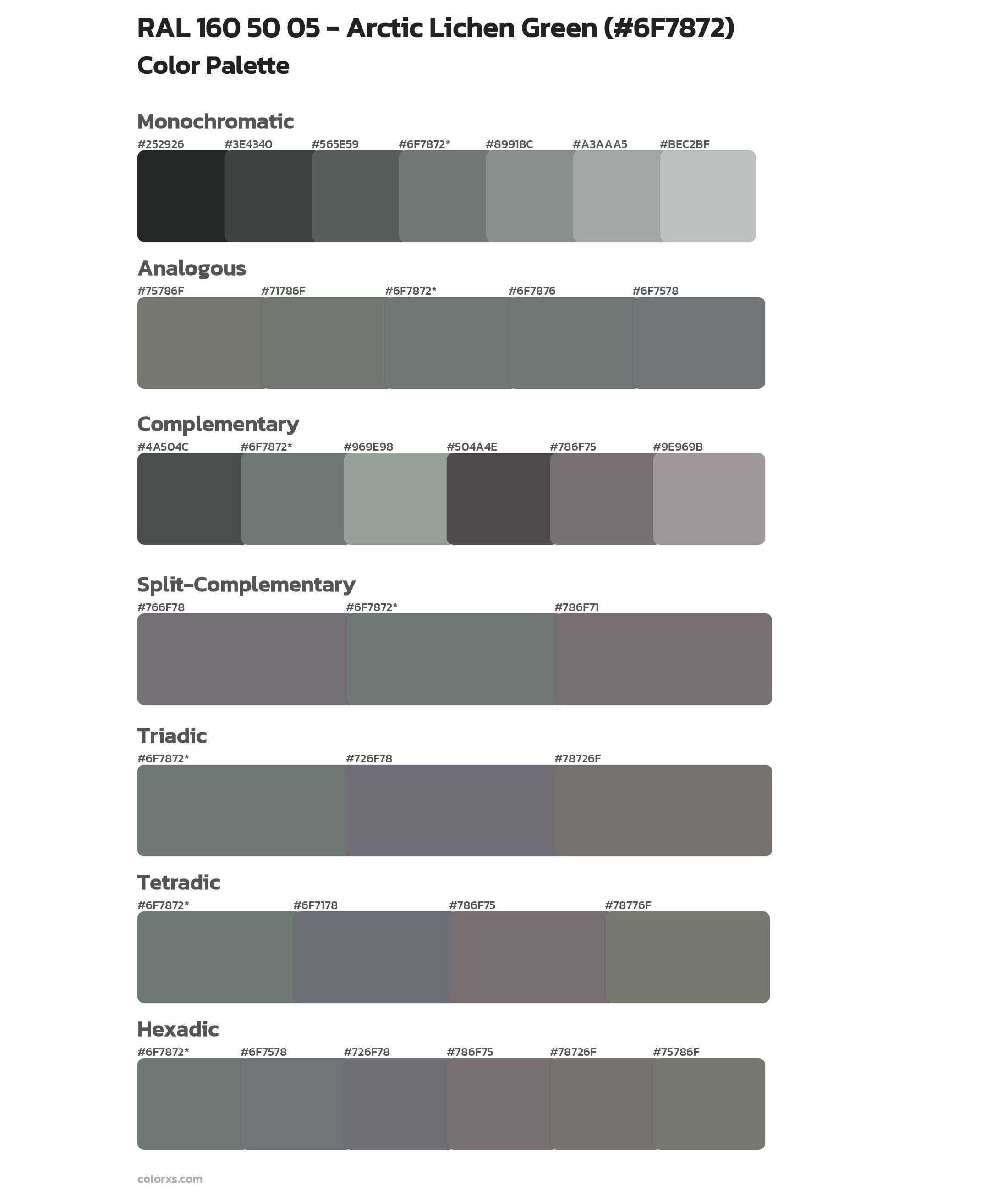 RAL 160 50 05 - Arctic Lichen Green Color Scheme Palettes