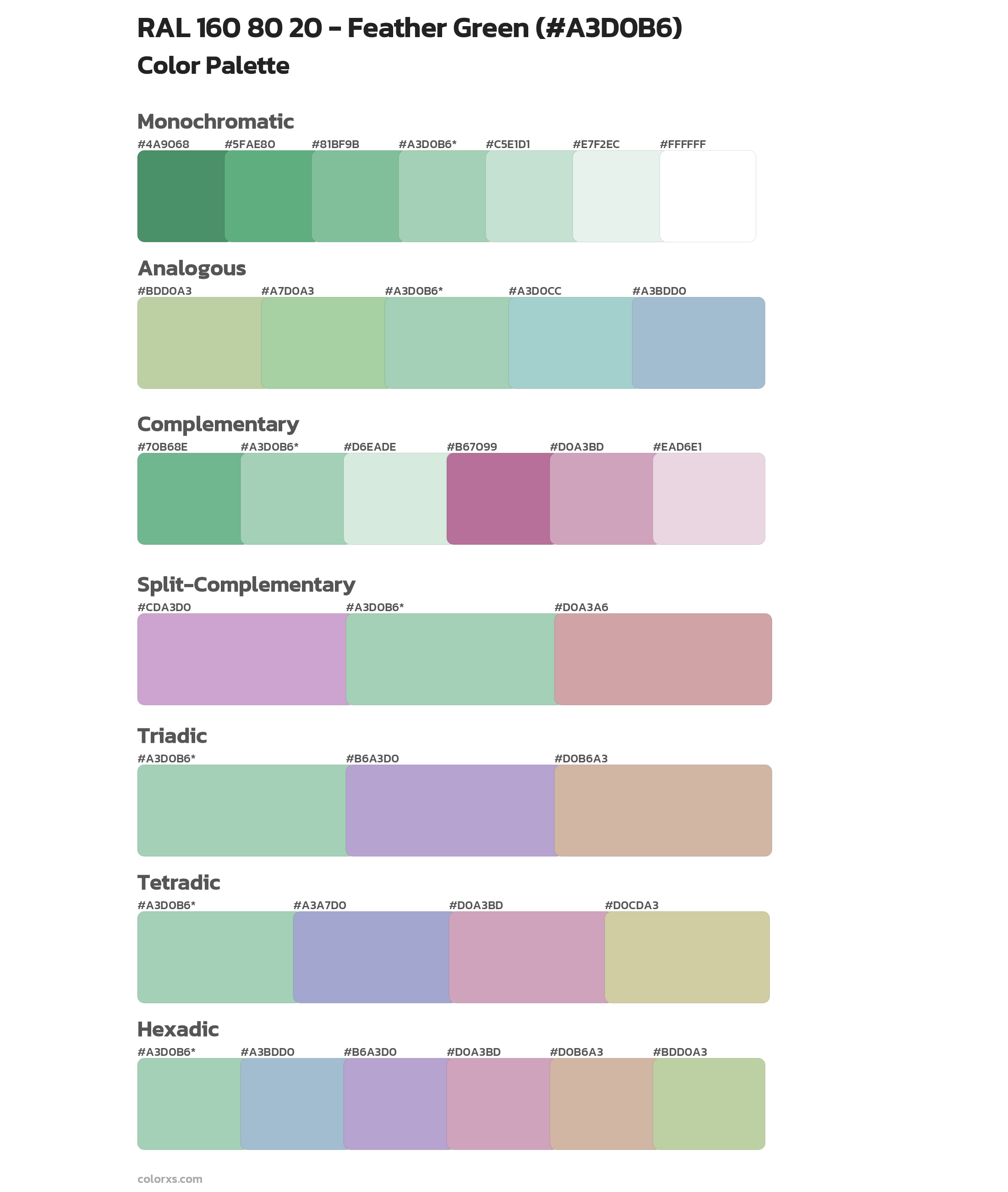 RAL 160 80 20 - Feather Green Color Scheme Palettes