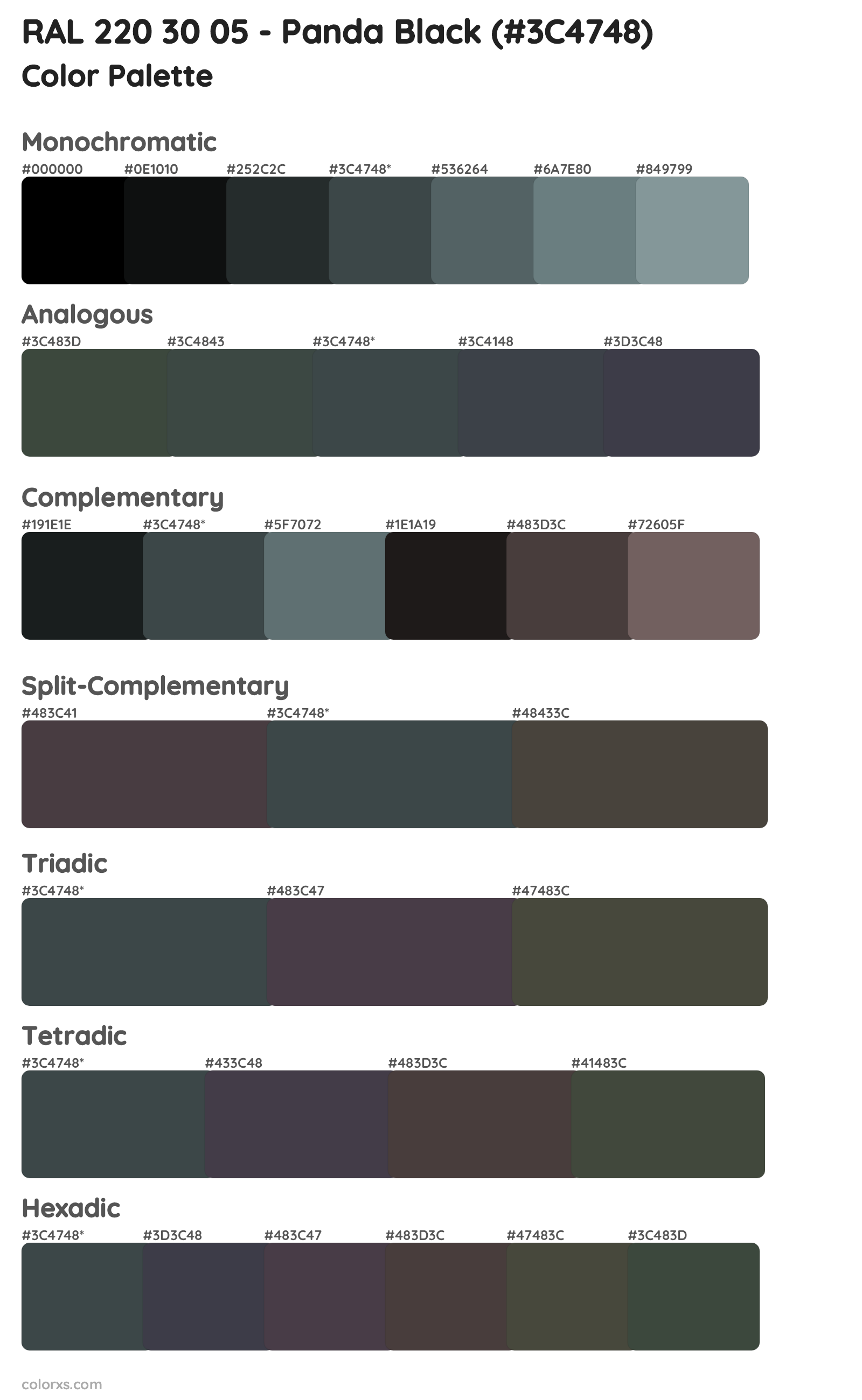 RAL 220 30 05 - Panda Black Color Scheme Palettes
