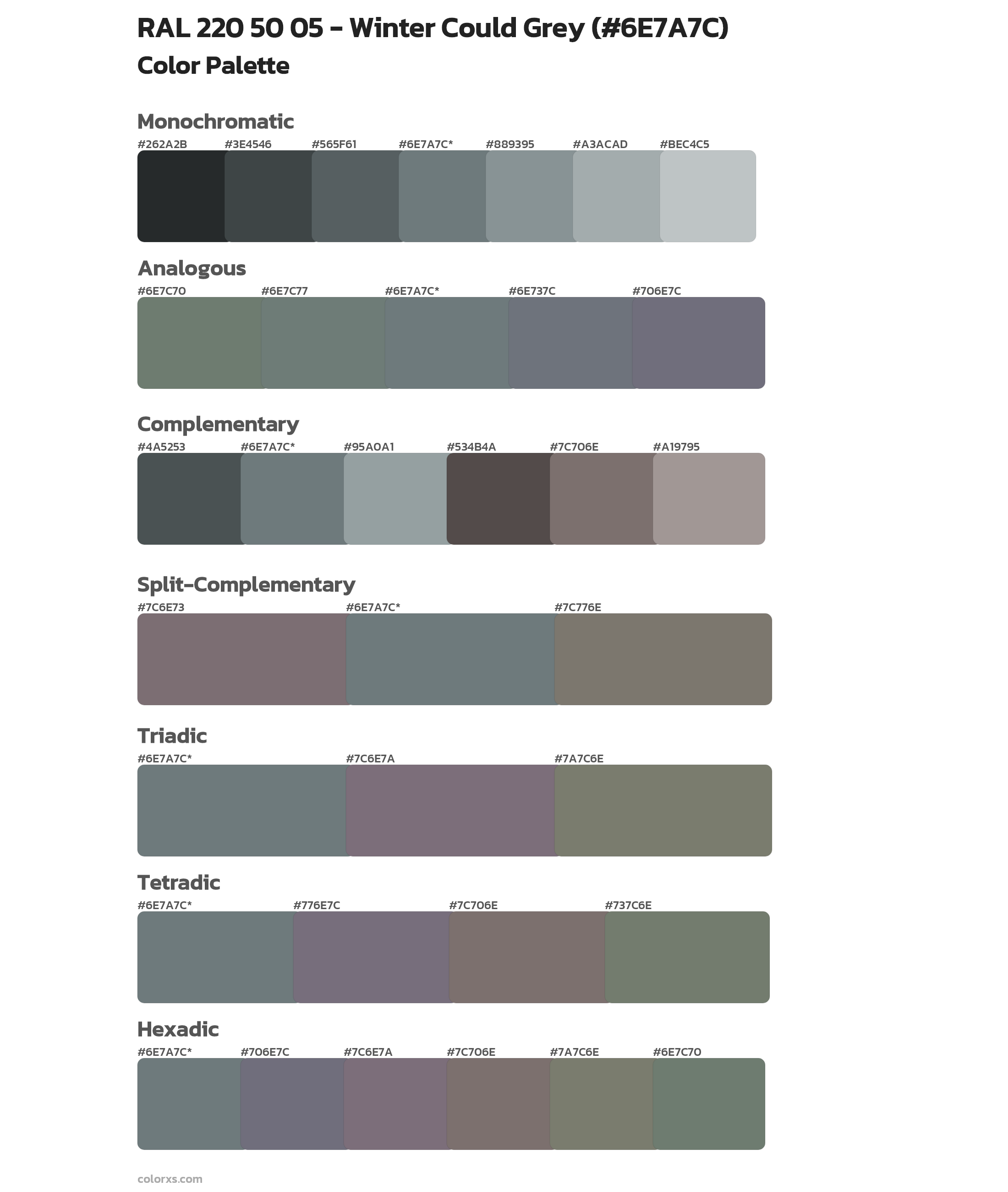 RAL 220 50 05 - Winter Could Grey Color Scheme Palettes