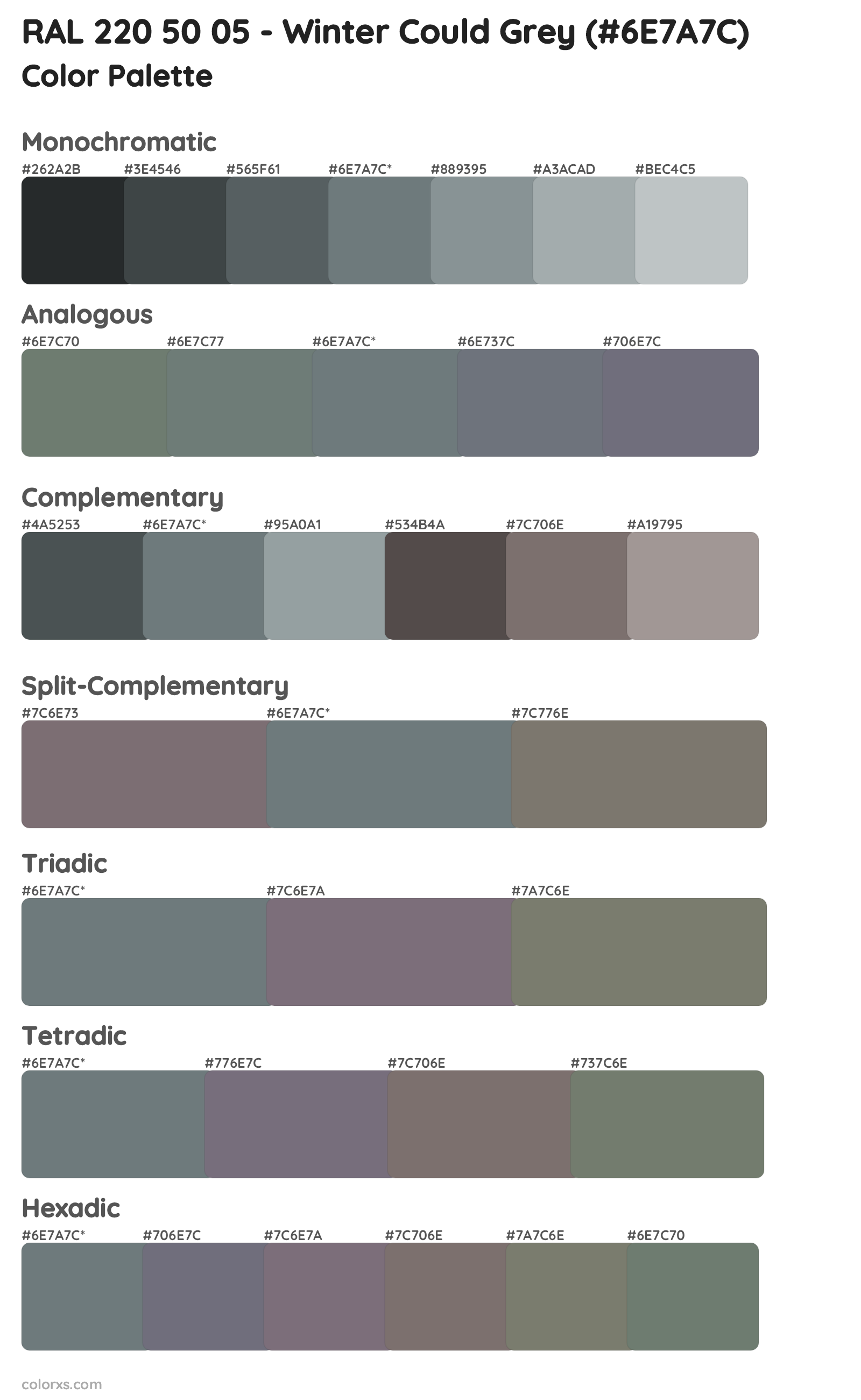 RAL 220 50 05 - Winter Could Grey Color Scheme Palettes