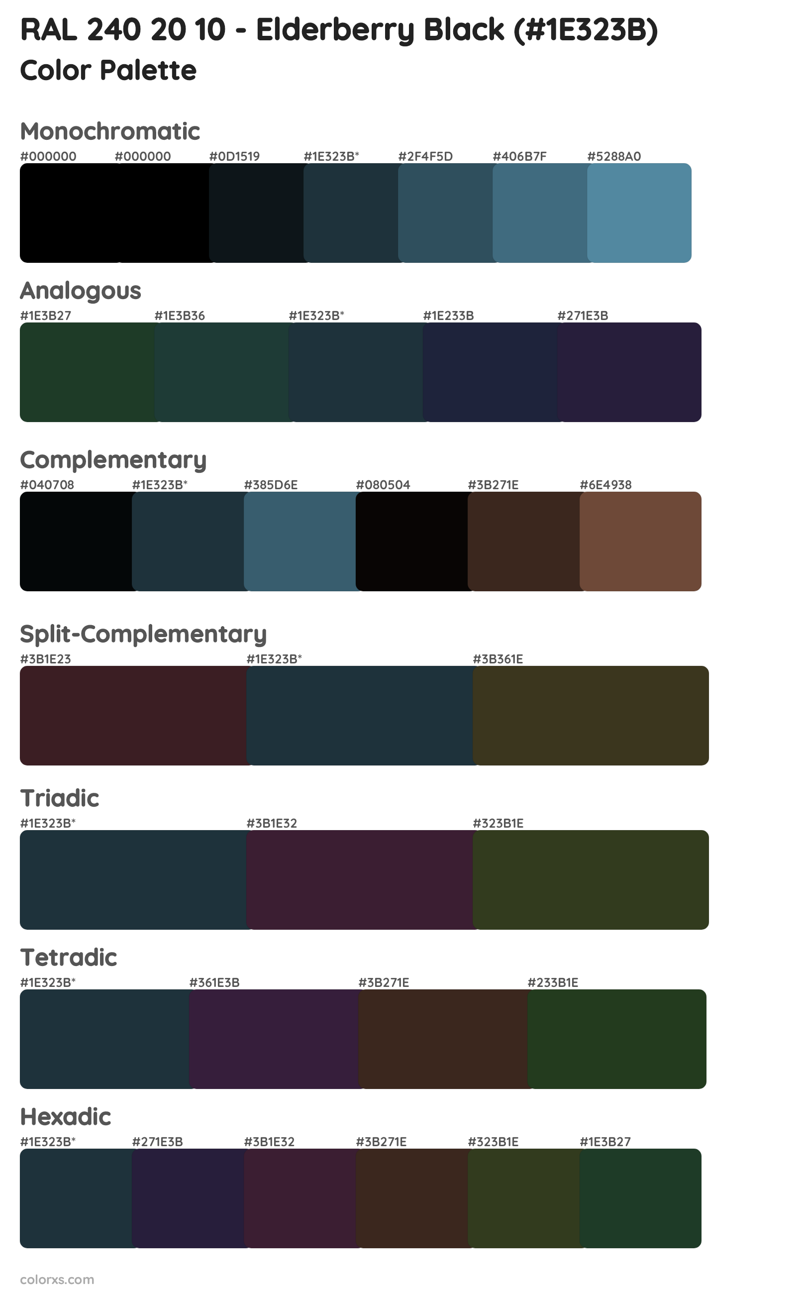 RAL 240 20 10 - Elderberry Black Color Scheme Palettes