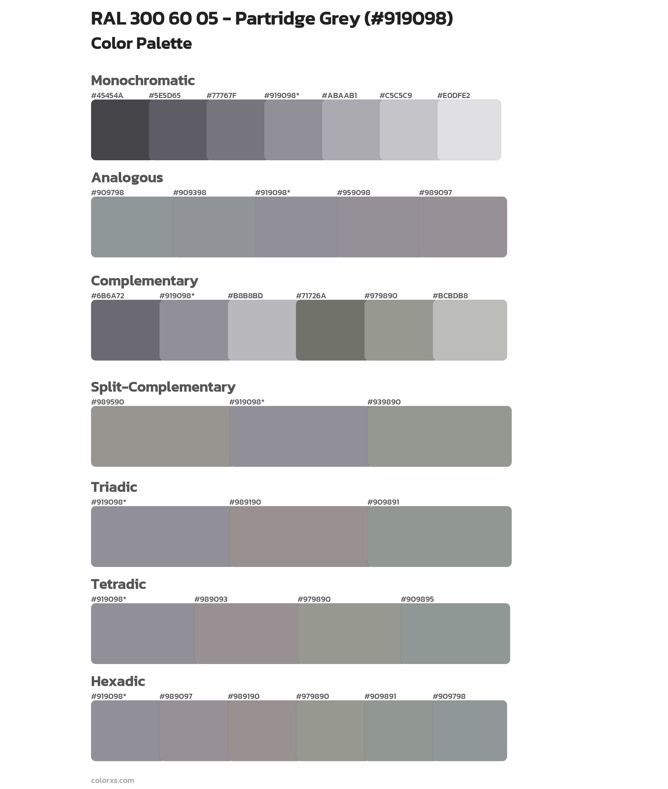 RAL 300 60 05 - Partridge Grey Color Scheme Palettes