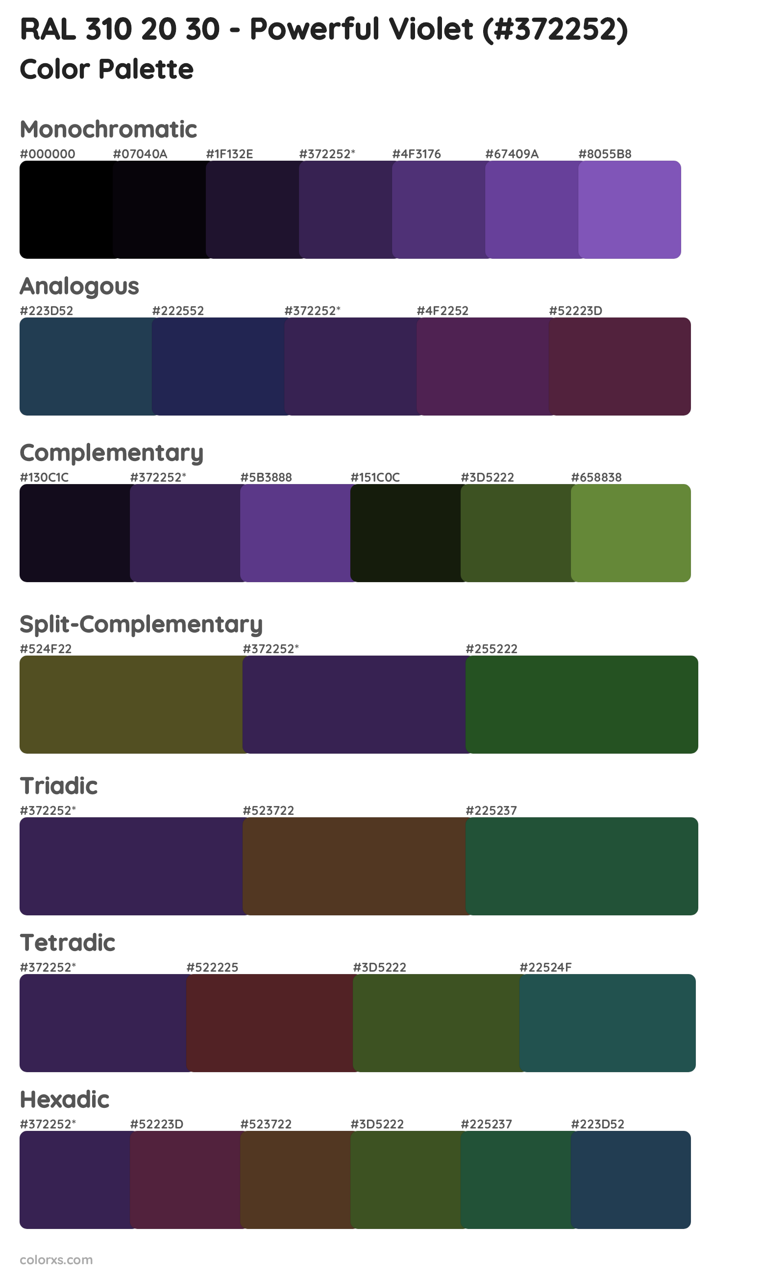RAL 310 20 30 - Powerful Violet Color Scheme Palettes