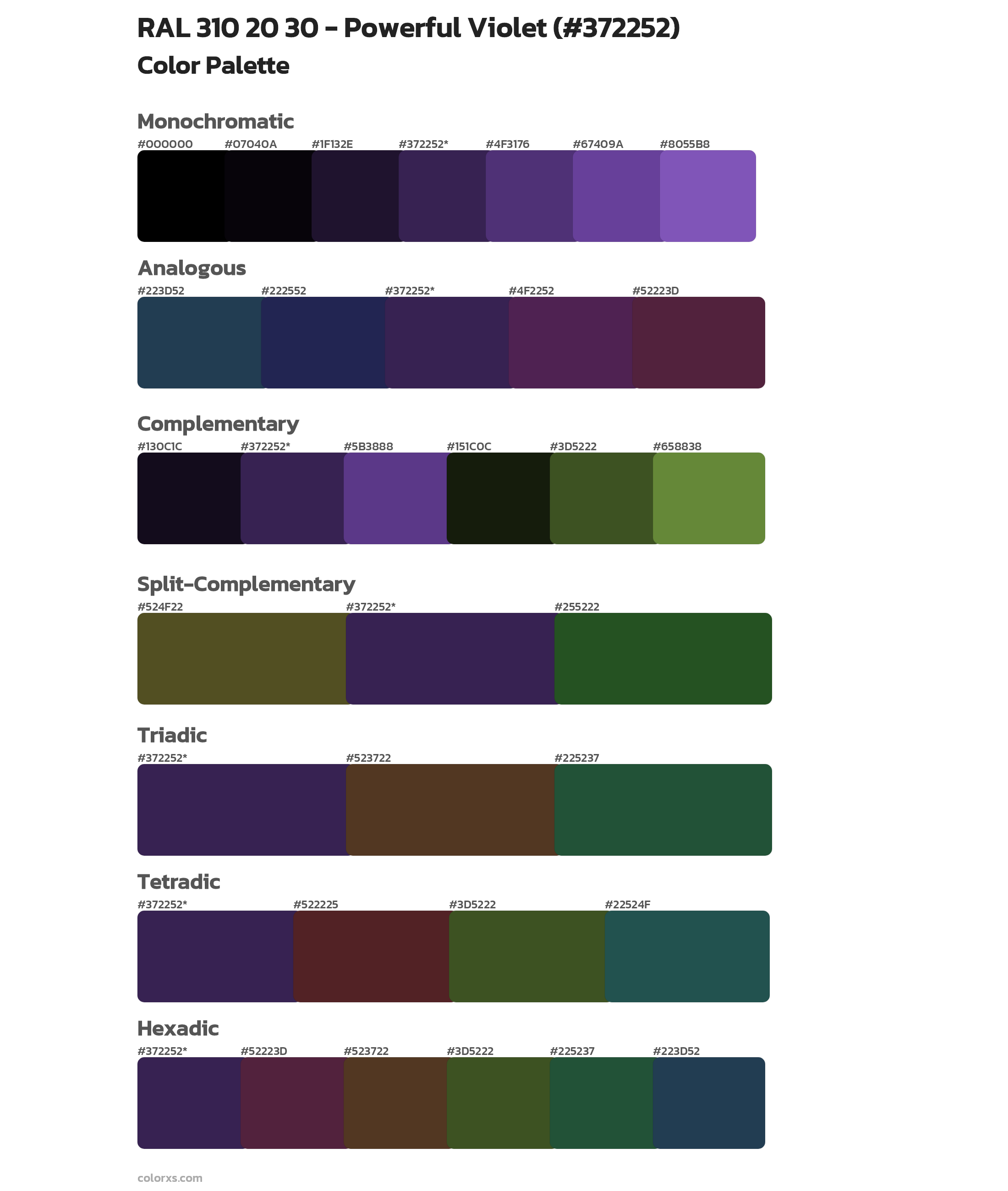 RAL 310 20 30 - Powerful Violet Color Scheme Palettes